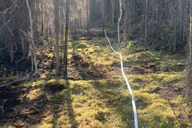 Bryan Quimby/Gannett Glacier Fire Crew
Part of the hose line has been laid around the perimeter of the 102-acre Loon Lake Fire to help firefighters extinguish any hot spots that are found, photographed on Thursday.