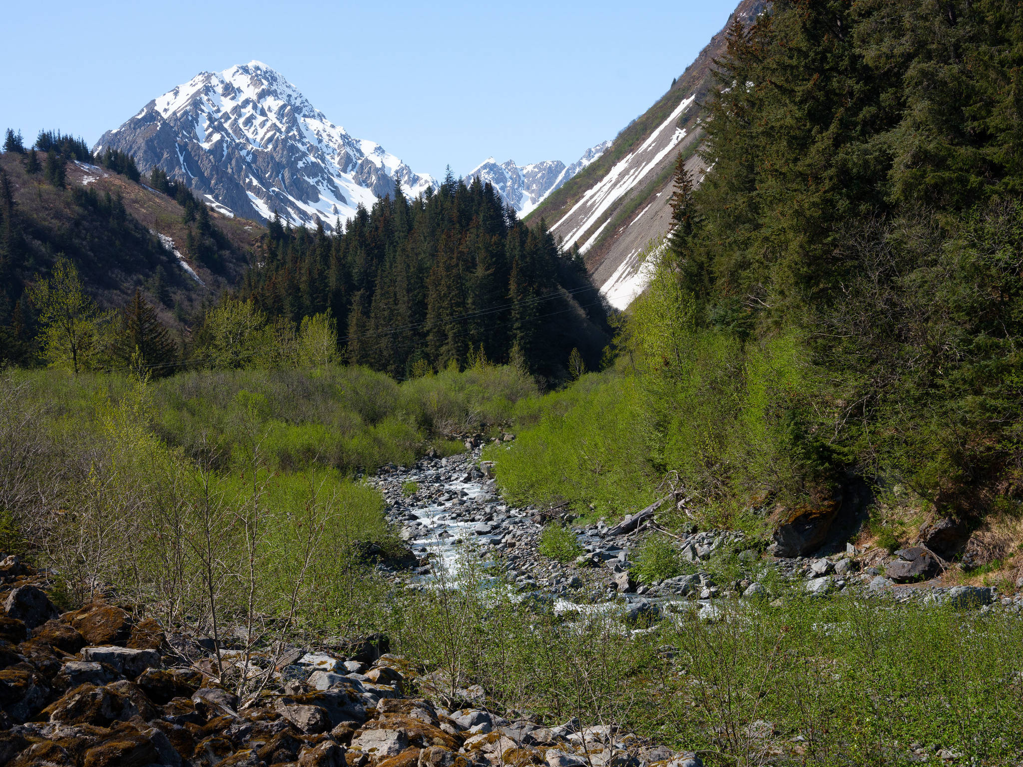 Japanese Creek, which begins at the foot of an alpine glacier in the Kenai Mountains, flows through a steep canyon before it runs along the northeast edge of Seward, Alaska. (Young Kim for The Hechinger Report)