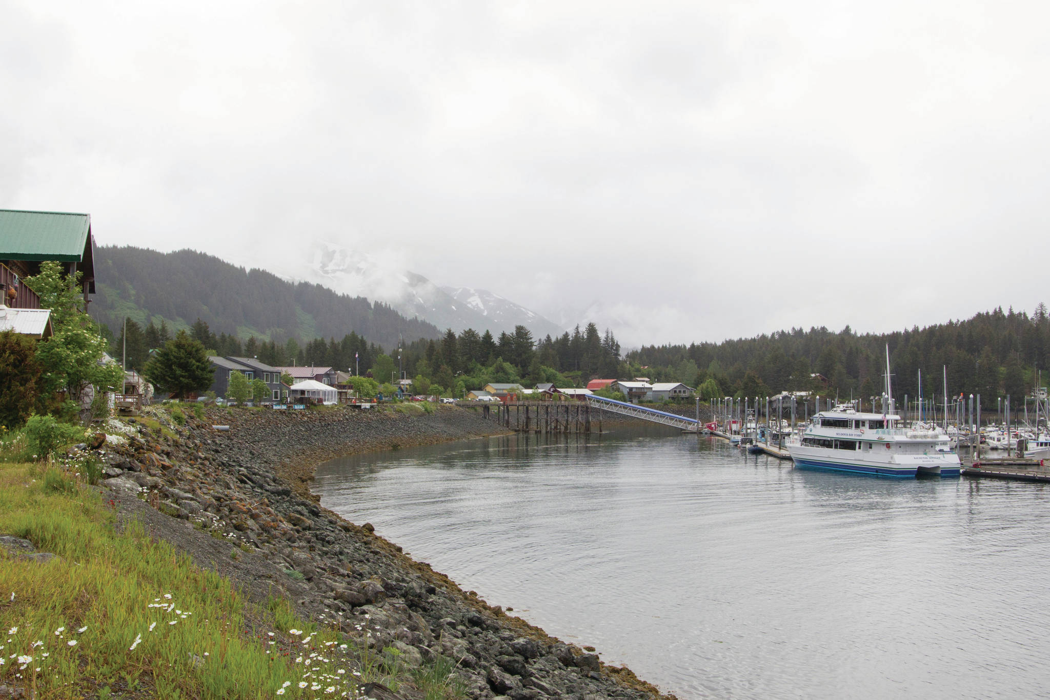 Seldovia as seen on Thursday, June 24, 2021. The steady rain didn’t stop boats filled with tourists from arriving in town. (Photo by Sarah Knapp/Homer News)