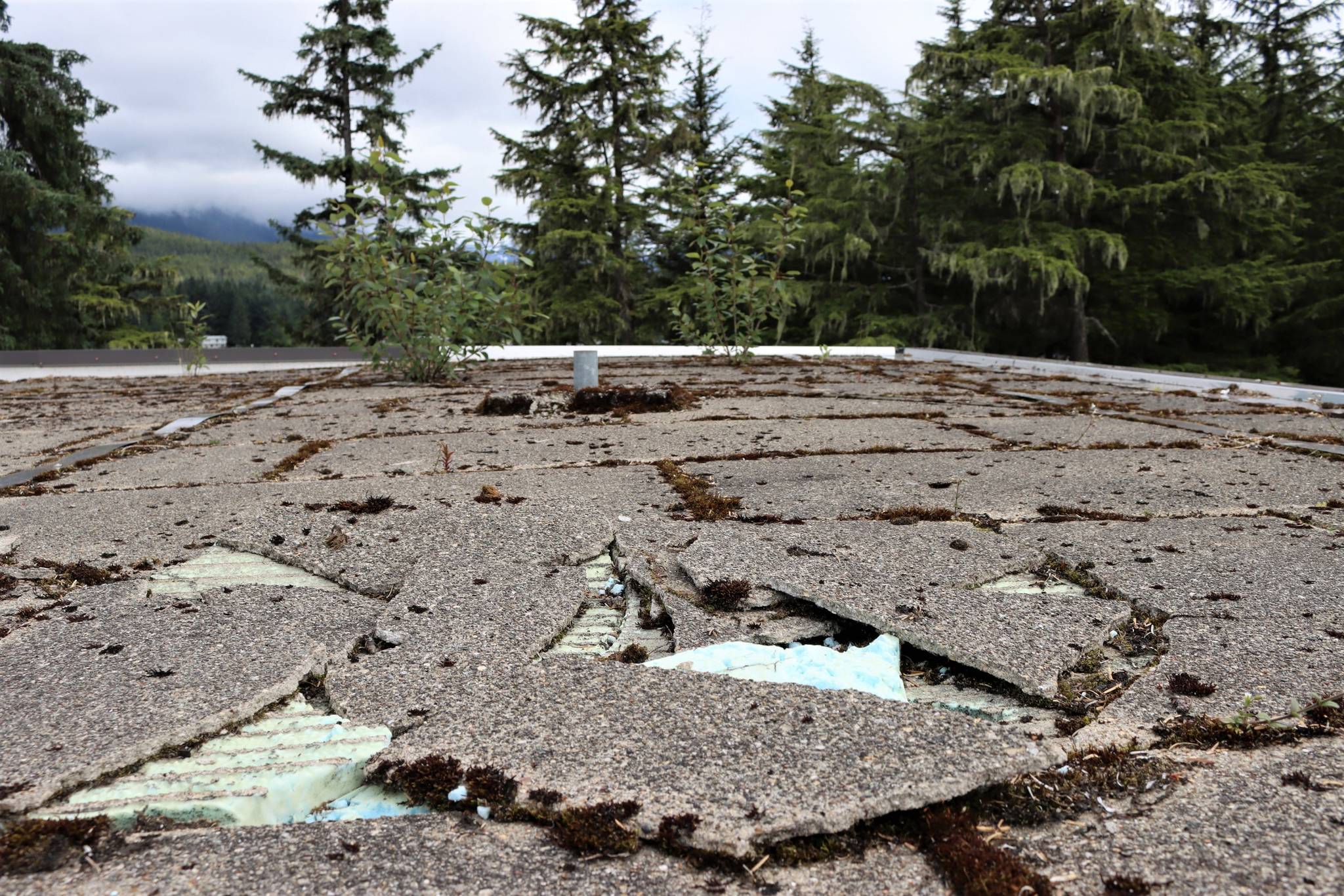 Ben Hohenstatt / Juneau Empire
Insulation can be seen through broken shingles on the Novatney Building’s roof. Funding for maintenance work on the roof was among Gov. Mike Dunleavy’s over $215 million in budget cuts. Design work for the effort has long been completed, said UAS facilities maintenance and operations manager Adam Zenger. The roof does not currently leak, he said, but in light of roof’s condition he said there’s concern that could change.