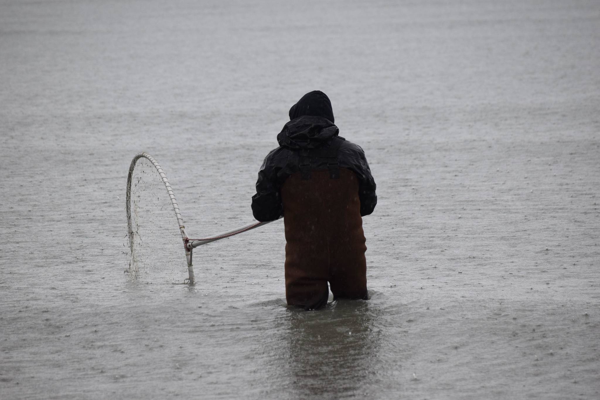 Sol Gaston dipnets on North Kenai Beach on Saturday, July 10, 2021. (Camille Botello/Peninsula Clarion)