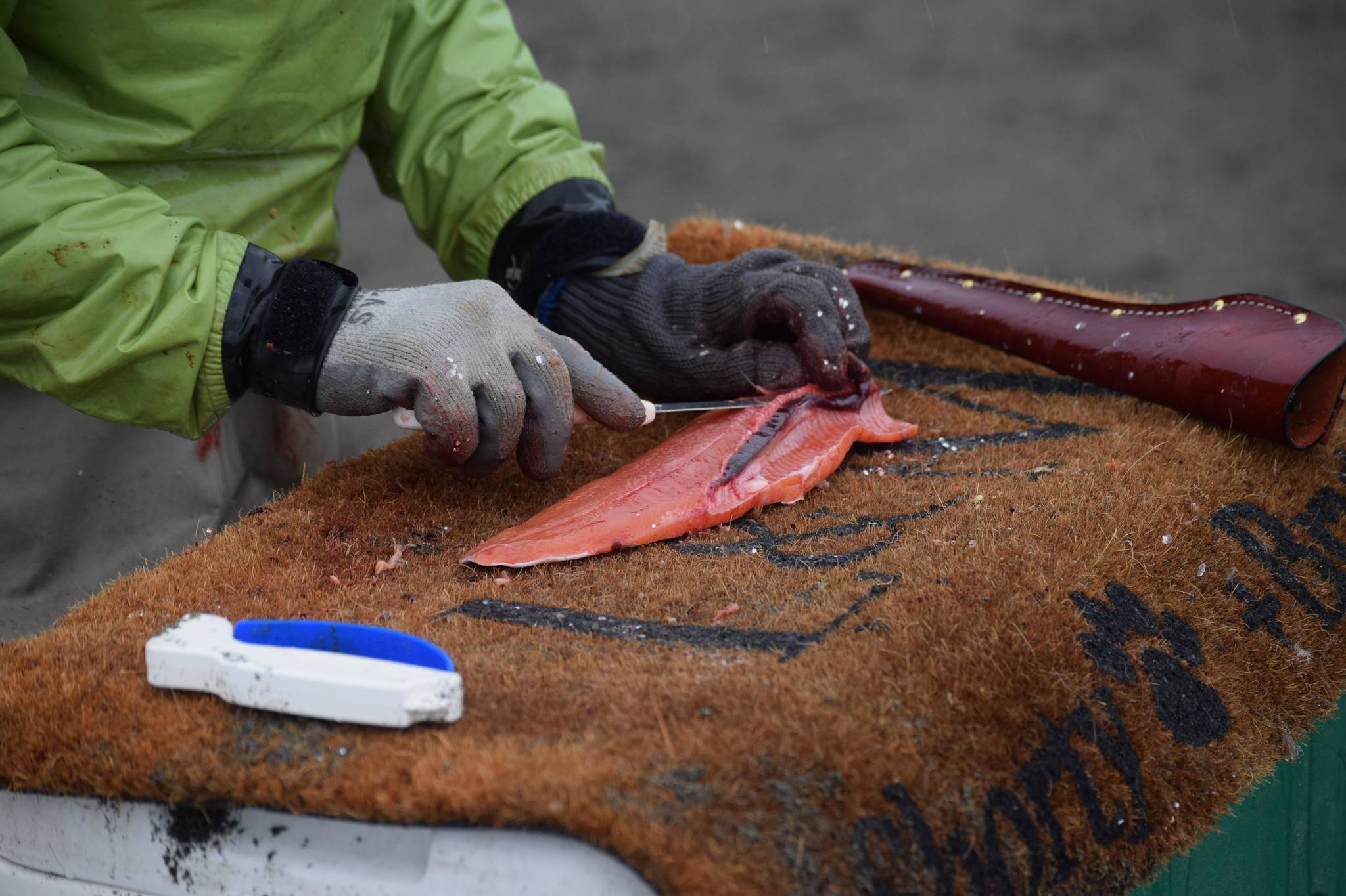 Elizabeth Stergio fillets a salmon after dipnetting on North Kenai Beach on Saturday, July 10, 2021. (Camille Botello/Peninsula Clarion)