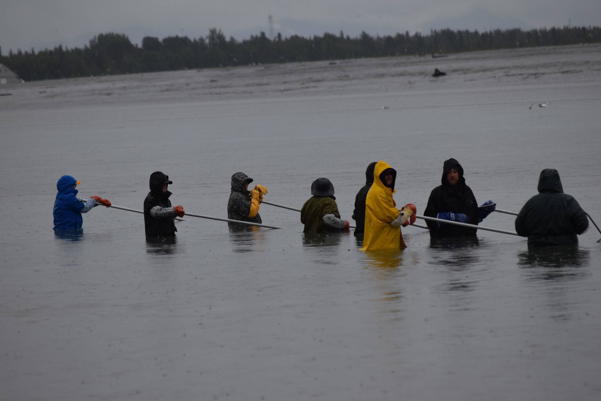 Dipnetters make a line in the waters off North Kenai Beach on Saturday, July 10, 2021. (Camille Botello / Peninsula Clarion)
