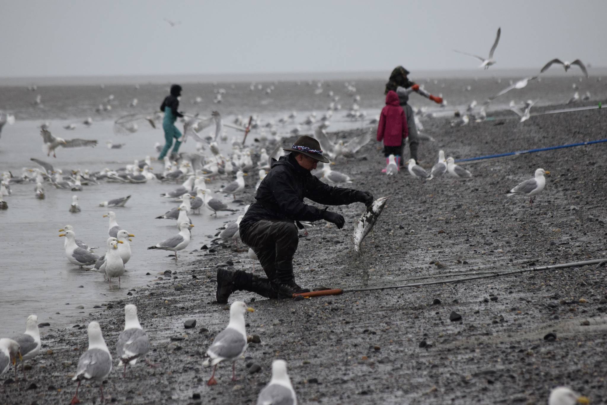 A dipnetter wrangles a salmon North Kenai Beach on Saturday, July 10, 2021. (Camille Botello / Peninsula Clarion)