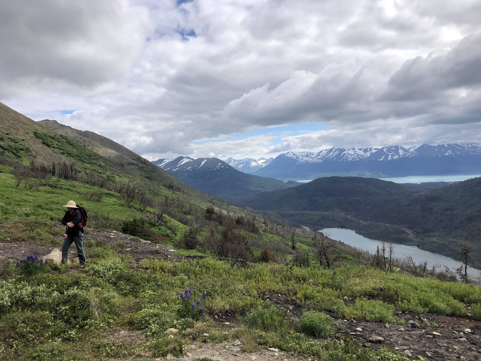 A hiker heads down Skyline Trail from the saddle near Cooper Landing, Alaska on June 27, 2021. (Camille Botello / Peninsula Clarion)