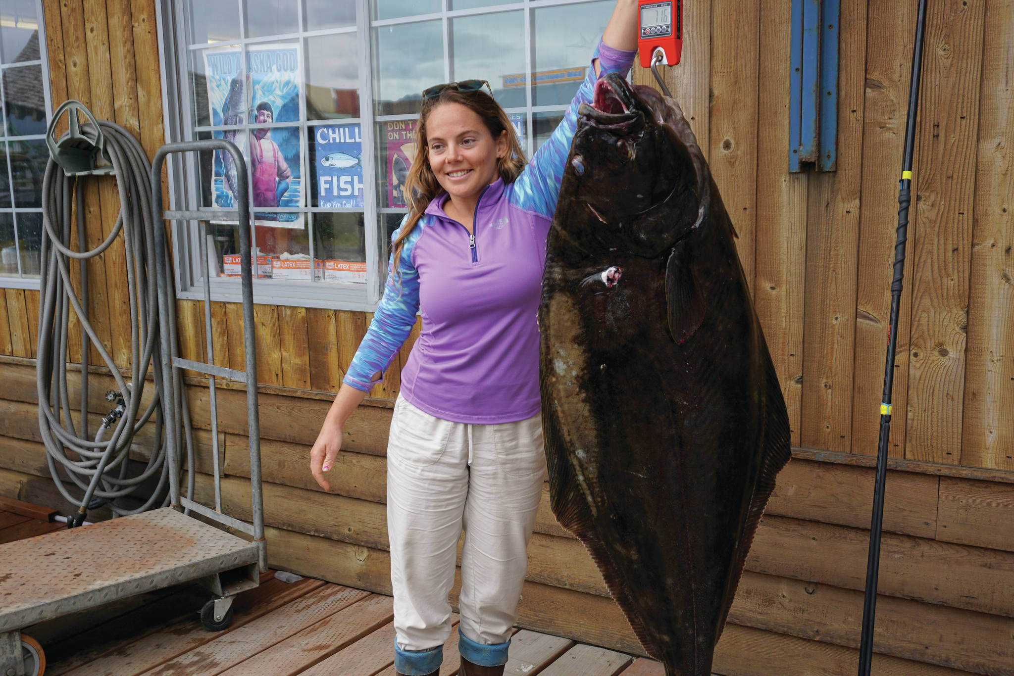 Lisa Stengel of Fort Lauderdale, Florida, weighs a halibut on Monday, July 12, 2021, at Coal Point Seafoods in Homer, Alaska, that she caught with a pole spear while free diving in Kachemak Bay. If verified, the 71.4-pound halibut would be the International Underwater Spearfishing Association world record for a Pacific halibut caught be a woman using a pole spear. (Photo by Michael Armstrong/Homer News)