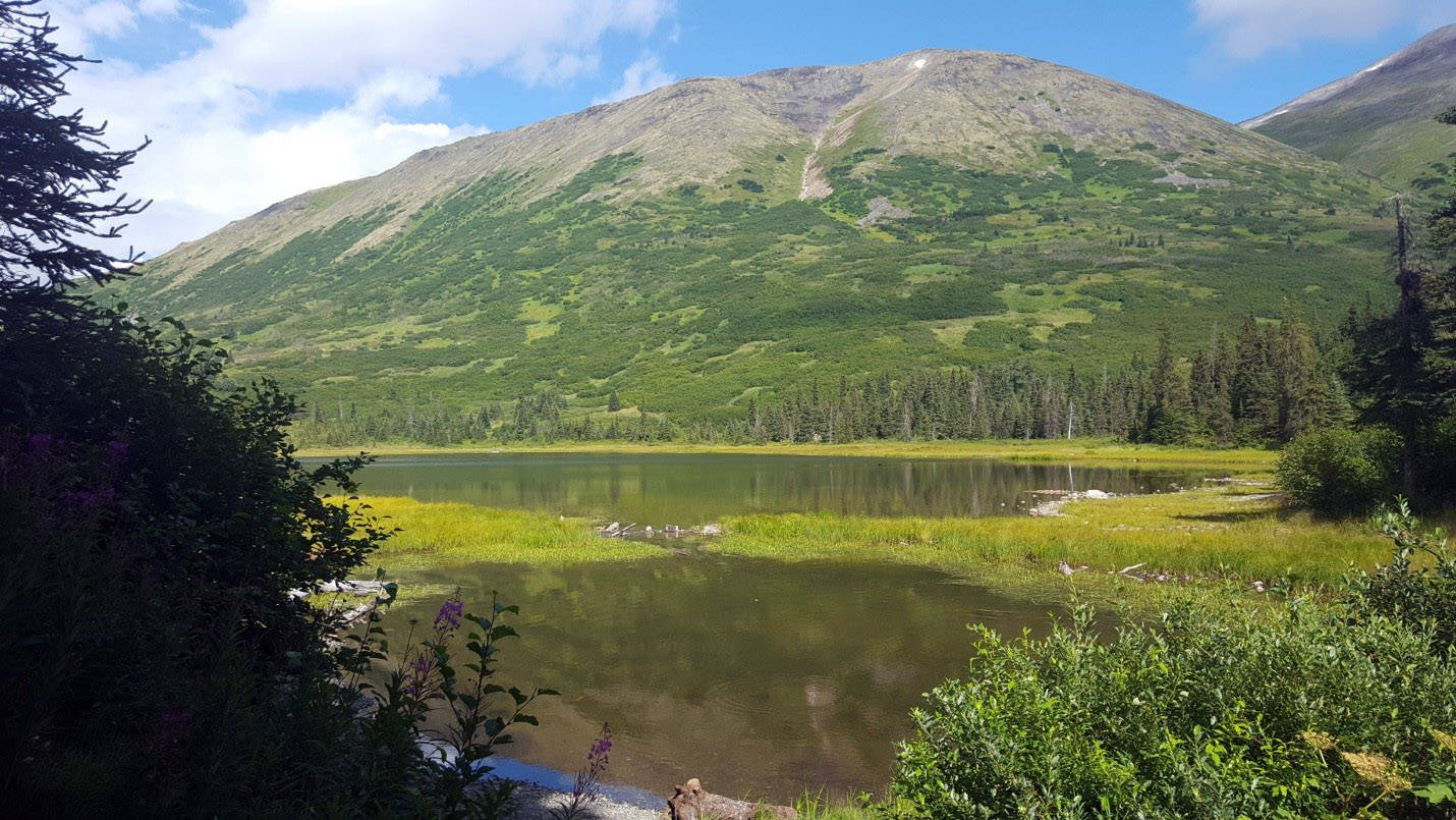 First view of Lower Fuller Lake and the lower point of Round Mountain. Photo from standing on the bridge. (Photo by Nick Longobardi/USFWS)