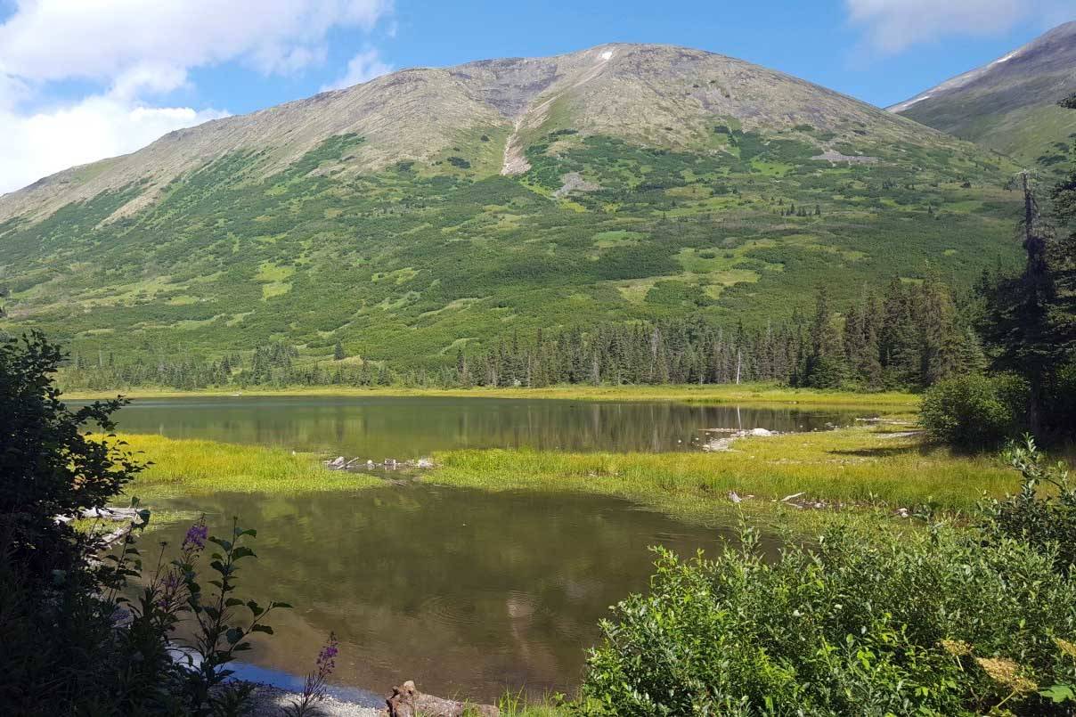 First view of Lower Fuller Lake and the lower point of Round Mountain. Photo from standing on the bridge. (Photo by Nick Longobardi/USFWS)