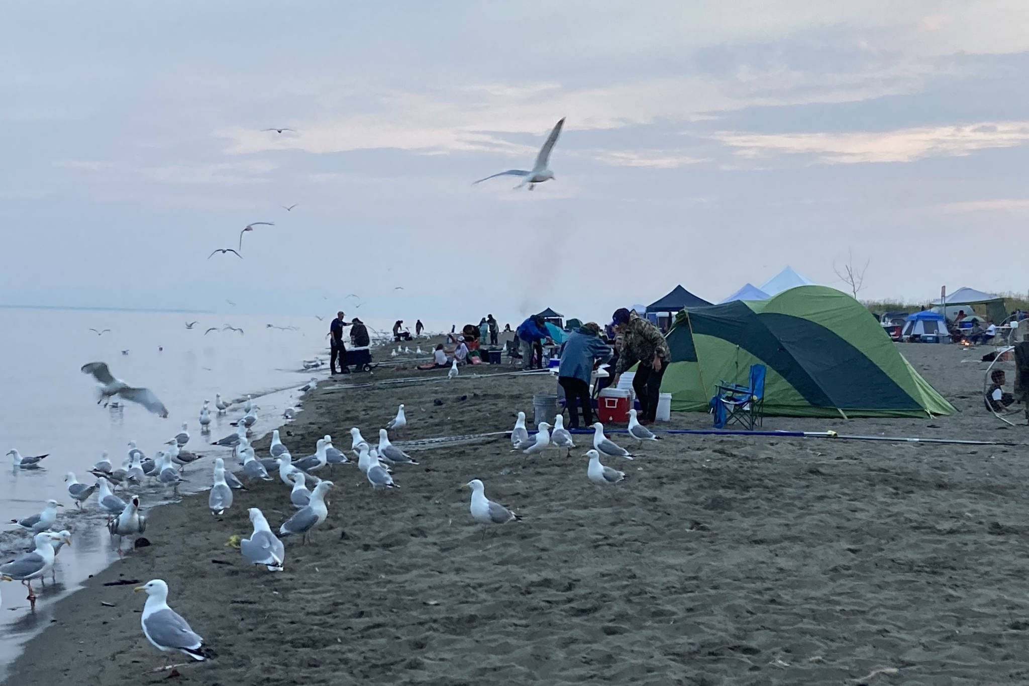 Dipnetters camp on North Kenai Beach on July 17, 2021, in Kenai, Alaska. (Photo by Jeff Helminiak/Peninsula Clarion)