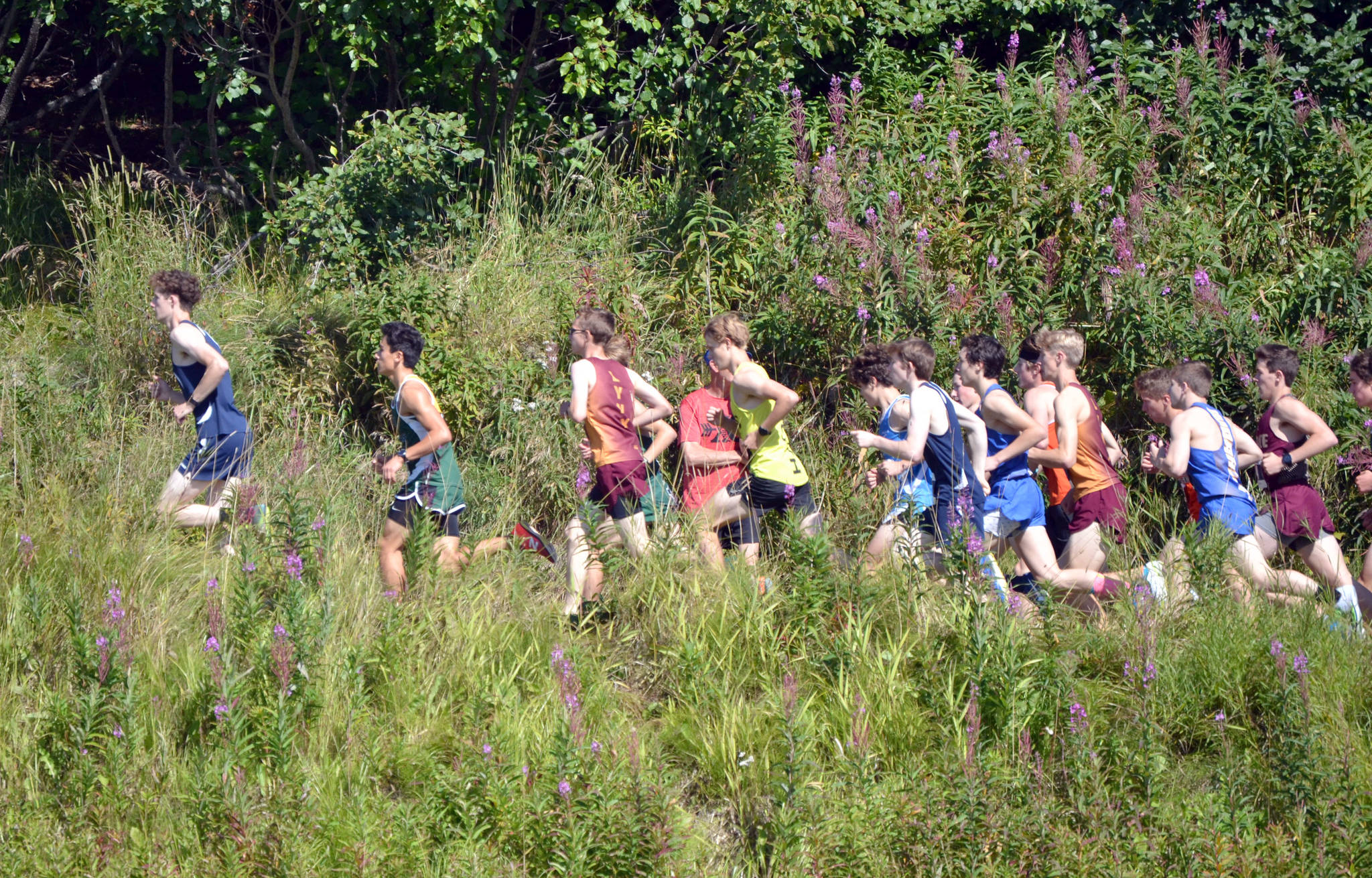 Homer’s Seamus McDonough leads a pack early in the boys varsity race at the Ted McKenney XC Invitational on Saturday, Aug. 21, 2021, at Tsalteshi Trails just outside of Soldotna, Alaska. McDonough finished ninth in the race. (Photo by Jeff Helminiak/Peninsula Clarion)