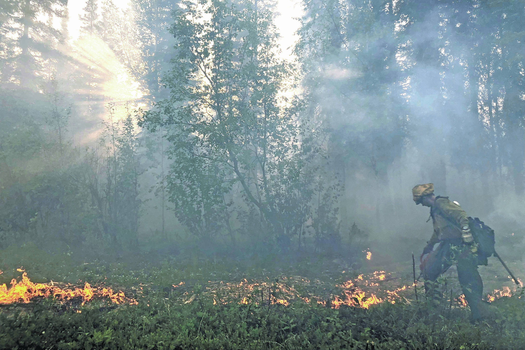 A member of the Gannet Glacier Type 2 Initial Attack Crew uses a drip torch during a burnout operation at the Swan Lake Fire on June 18, 2019. Just as fire squads from other wildlife refuges in the Lower 48 came up to help with the 2019 fire, fire crews from the Kenai National Wildlife Refuge are now helping fight fires in the Lower 48. (Photo courtesy Alaska Division of Forestry)