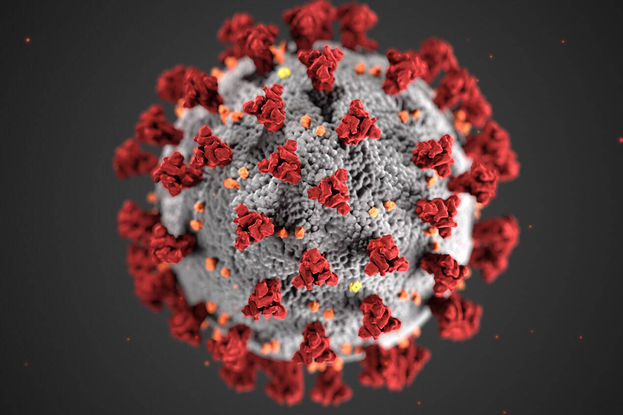 This illustration provided by the Centers for Disease Control and Prevention in January 2020 shows the 2019 Novel Coronavirus. (CDC)