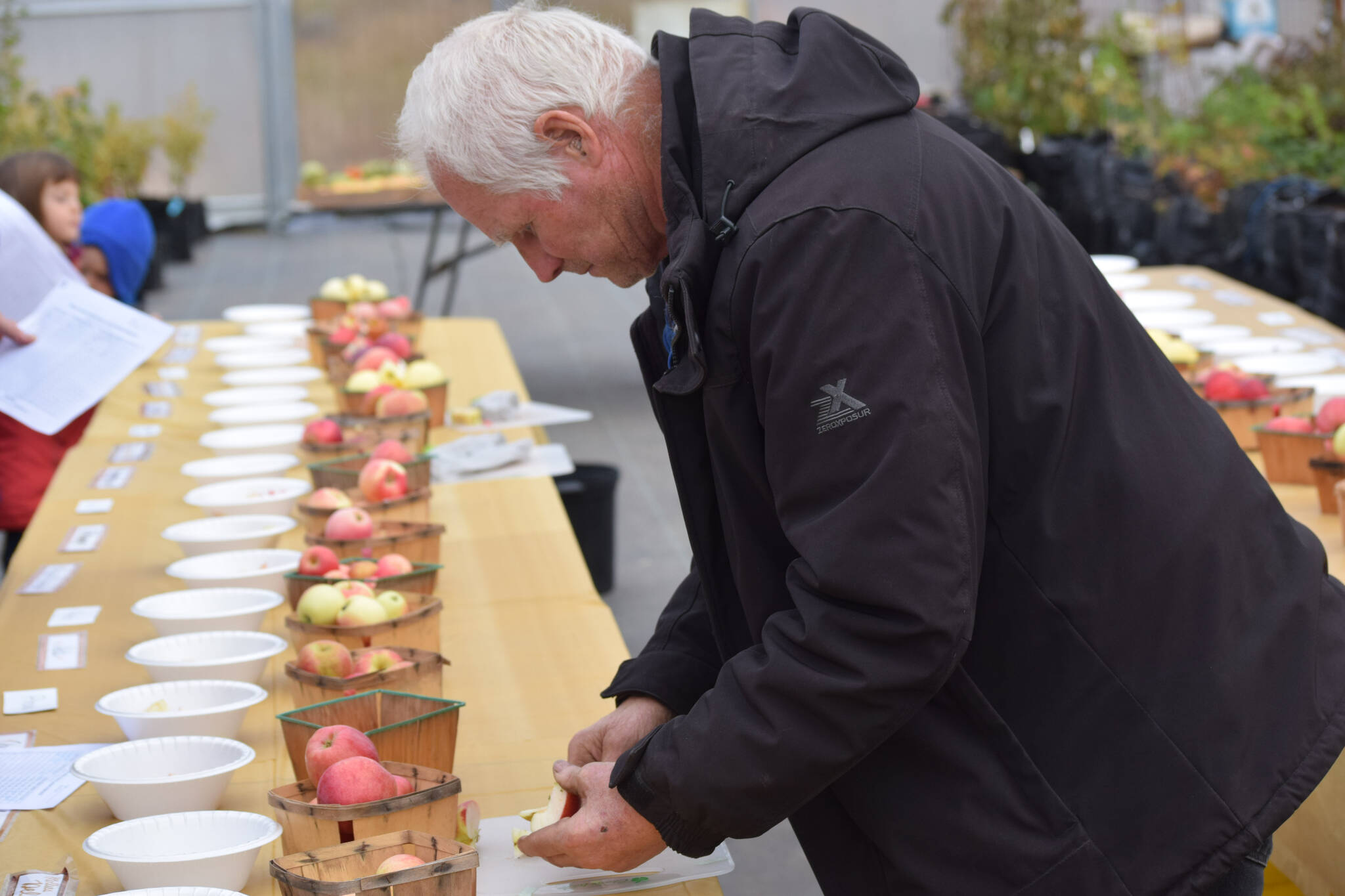 Mike O’Brien works the apple tasting at O’Brien Garden and Trees in Nikiski, Alaska on Saturday, Sept. 25, 2021. (Camille Botello/Peninsula Clarion)