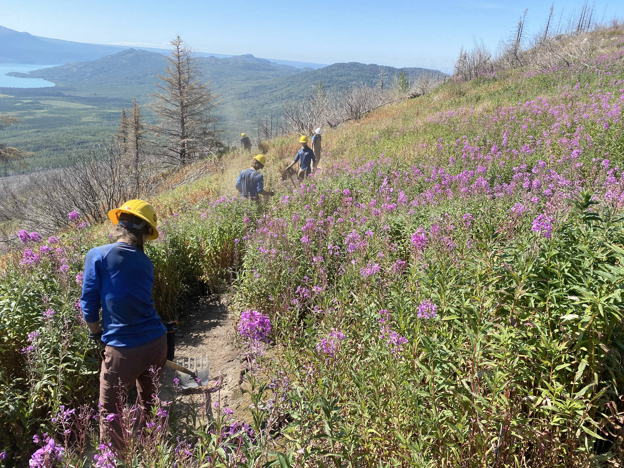 Student Conservation Association trail crews work on adding trail to Burney’s Trail in the Skilak Lake Recreation Area. (Photo by Lee Dudak/SCA)