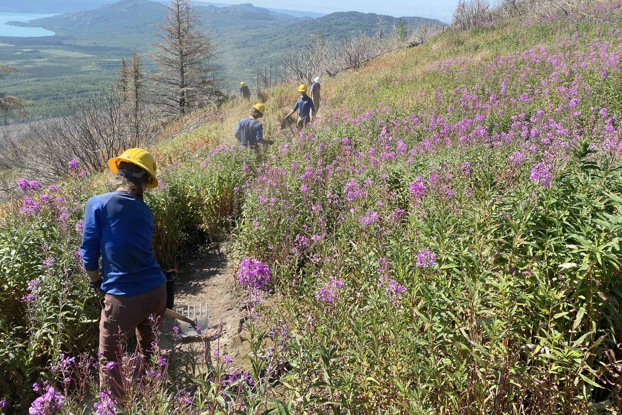 Student Conservation Association trail crews work on adding trail to Burneyճ Trail in the Skilak Lake Recreation Area. (Photo by Lee Dudak/SCA)