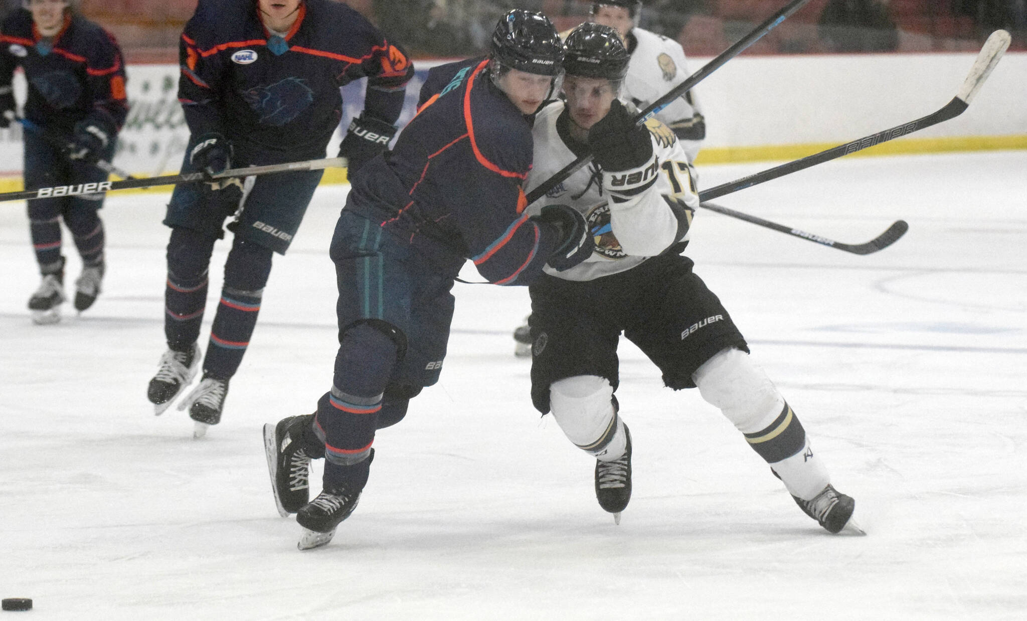 Anchorage Wolverines defenseman Danny Reis and Kenai River Brown Bears defenseman Carter Green battle for the puck Friday at the Soldotna Regional Sports Complex in Soldotna. (Photo by Jeff Helminiak/Peninsula Clarion)