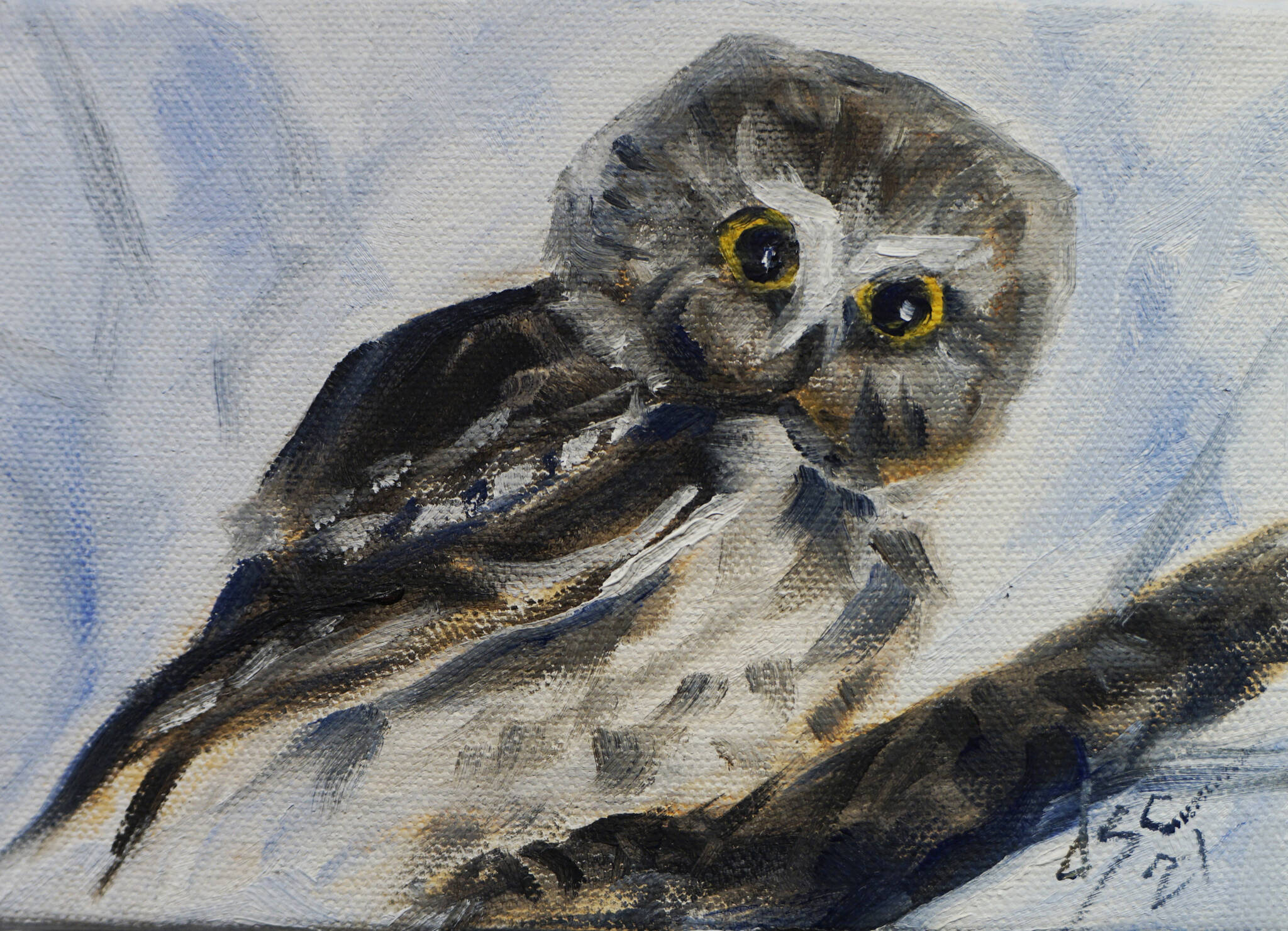 Dianne Spence-Chorman’s “Saw-Whet Owl” is one of the works showing in the Homer Council on the Arts “Fun wtih 5x7” show through Dec. 22, 2021, at the gallery in Homer, Alaska. (Photo by Michael Armstrong/Homer News)