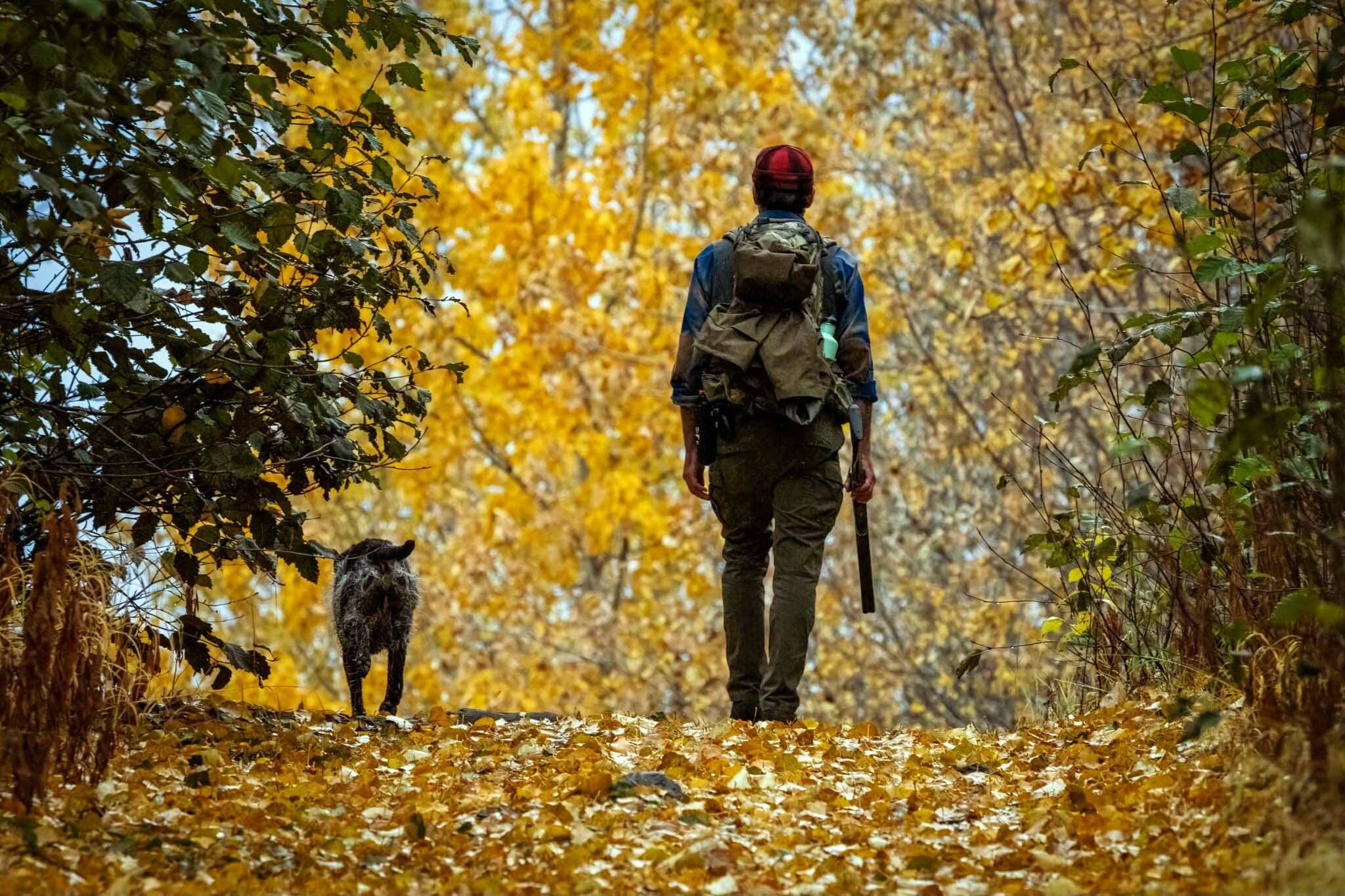 Fall colors, a dog and game in hand make for great outdoor experiences on the Kenai National Wildlife Refuge. (Photo by Colin Canterbury/USFWS)