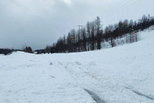 Snow and debris from an avalanche can be seen near Mile 45 on the Seward Highway on Monday, March 29, 2021. (Photo courtesy Goldie Shealy)