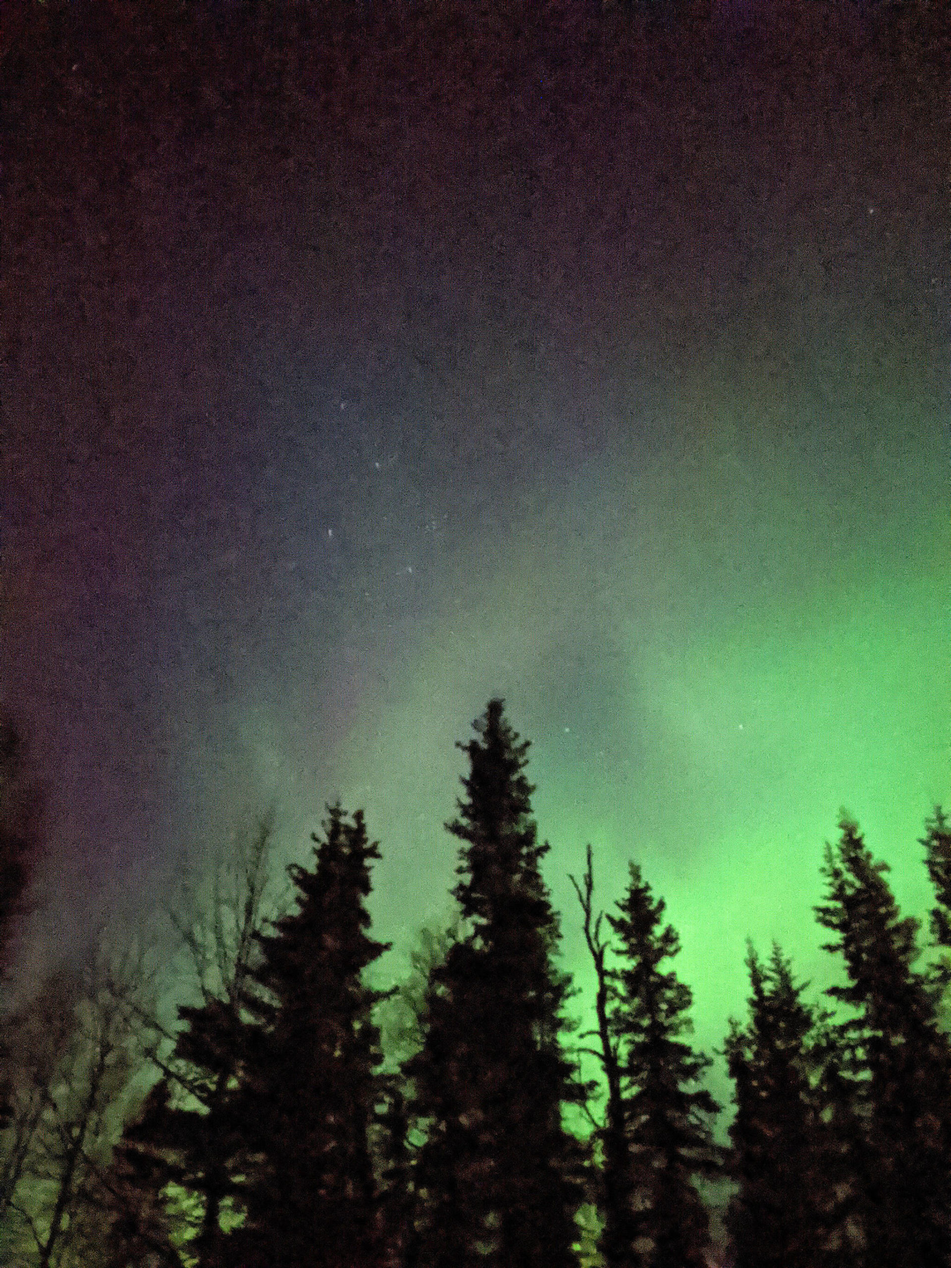 The reward of cold weather are the displays of the aurora borealis, like this one taken this fall on the Kenai. (Photo by K. Inman/FWS)