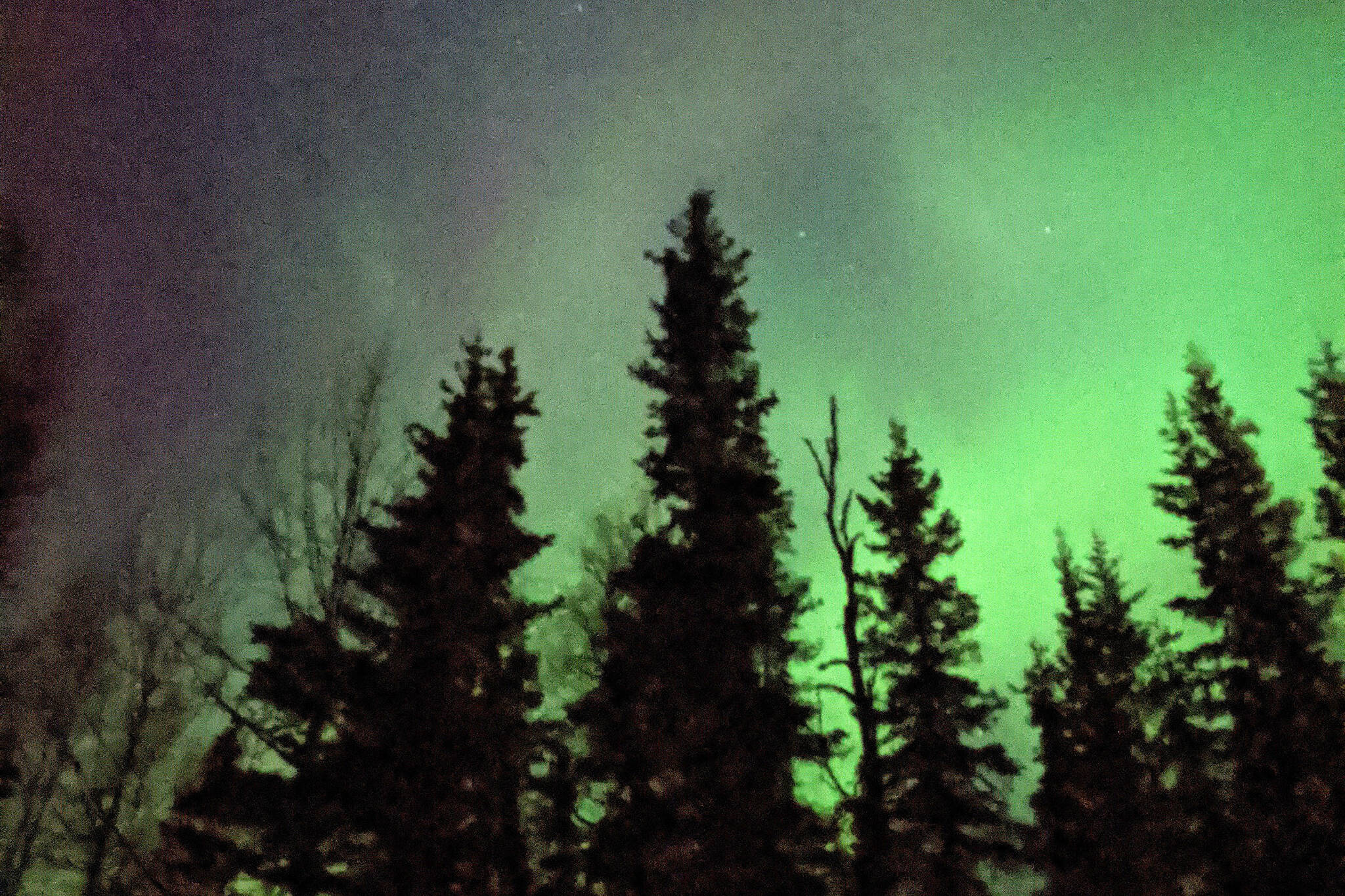 The reward of cold weather are the displays of the aurora borealis, like this one taken this fall on the Kenai. (Photo by K. Inman/FWS)