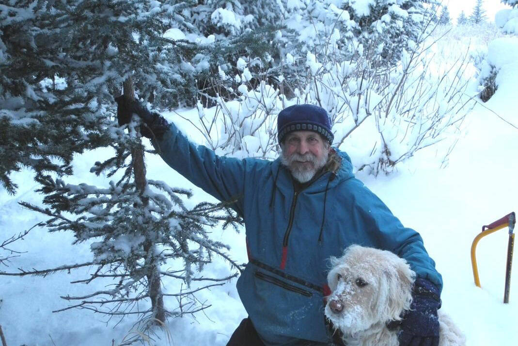 Michael Armstrong and his dog Leia harvest a Christmas tree in December 2013 on his land on Diamond Ridge near Homer, Alaska. (Photo by Jenny Stroyeck)