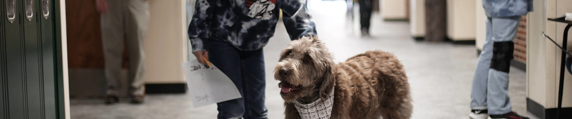 A student pets Wilson, a therapy dog, in a hallway at French Middle School, Wednesday, Nov. 3, 2021, in Topeka, Kan. The dog is one of the tools designed to relieve stresses faced by students as they return to classrooms amid the ongoing pandemic. (AP Photo/Charlie Riedel)