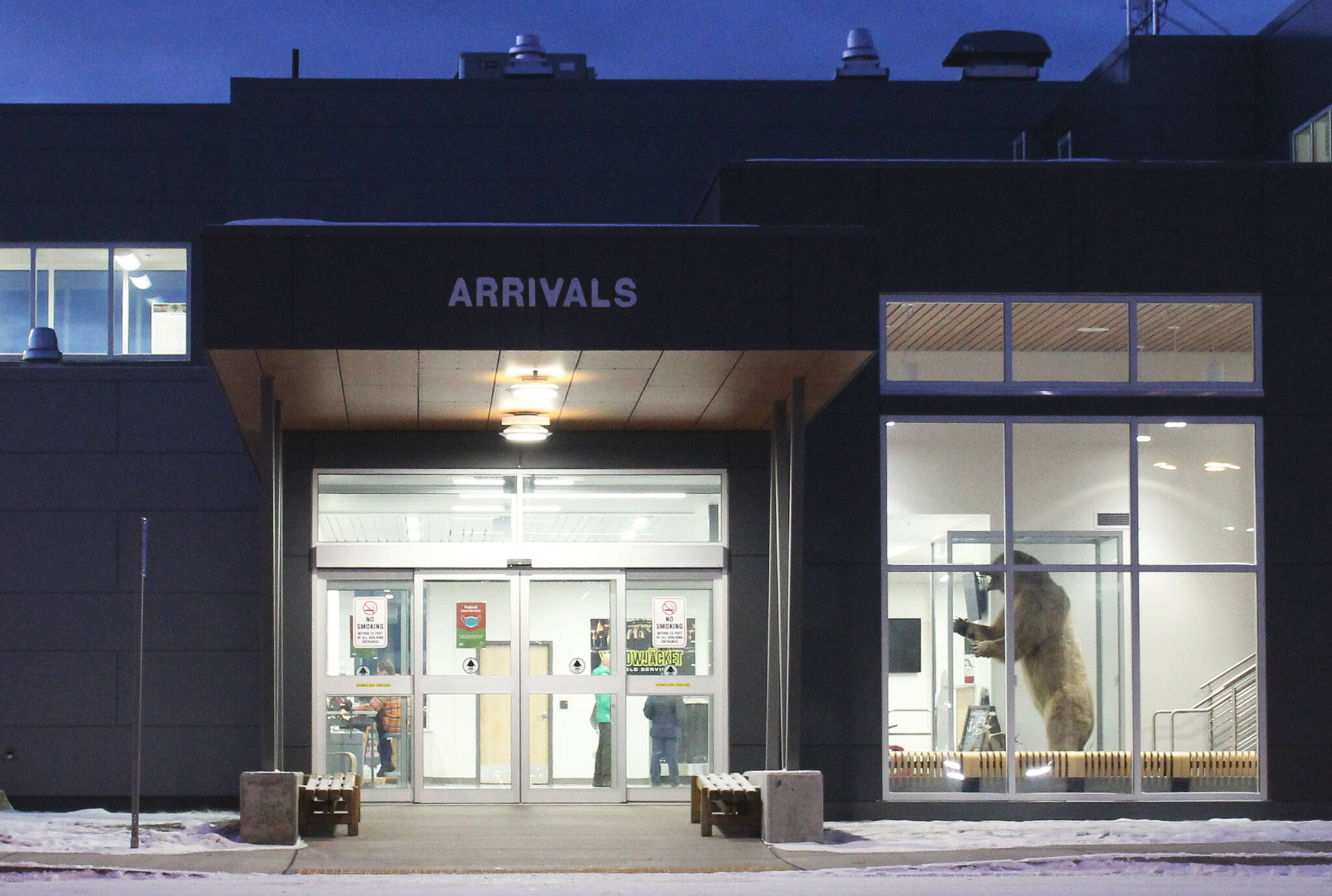 A polar bear is displayed inside of the Kenai Municipal Airport on Tuesday, Nov. 23, 2021 in Kenai, Alaska. (Ashlyn O’Hara/Peninsula Clarion)