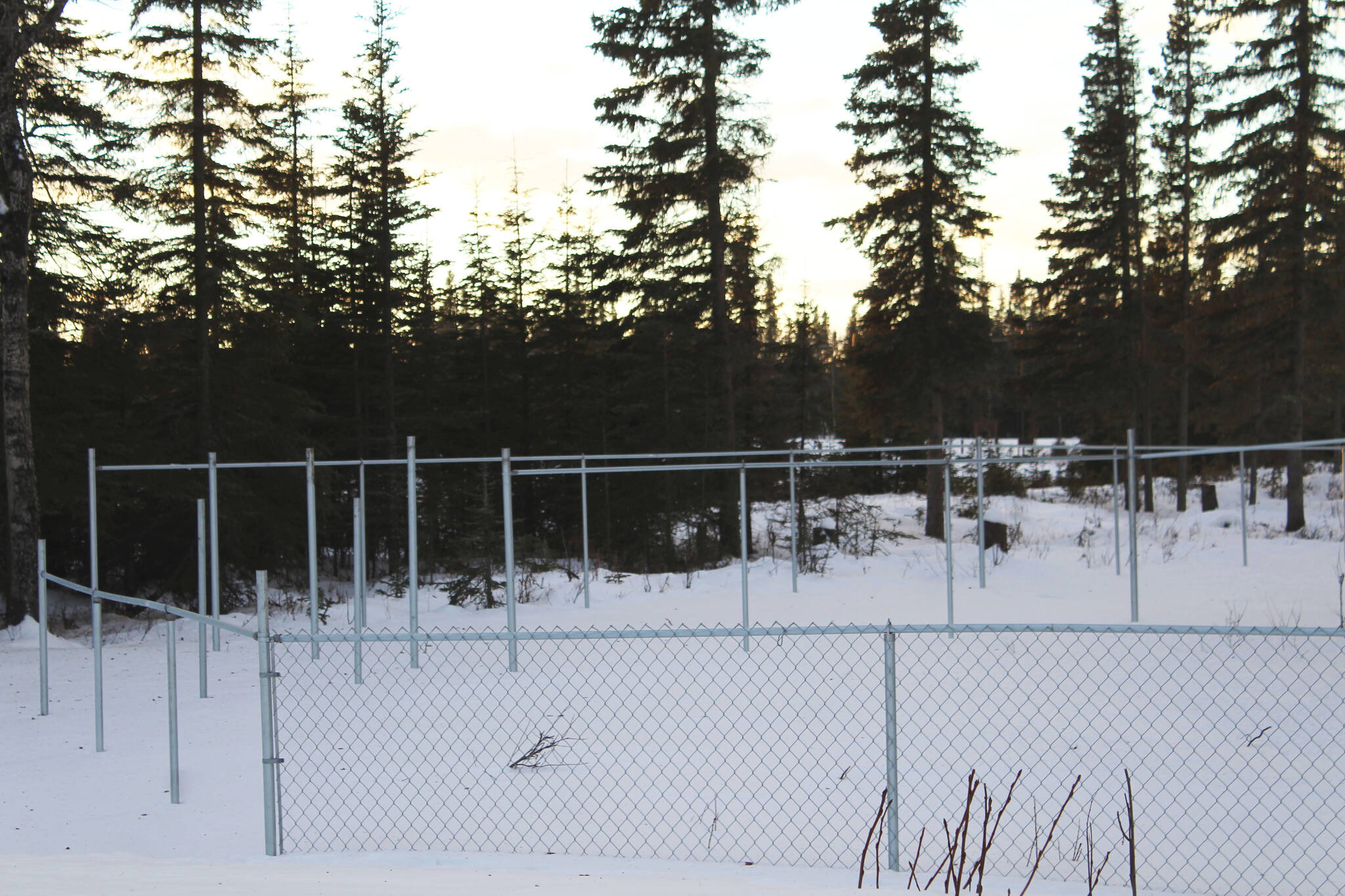 Fencing marks the boundaries of a planned dog park in Kenai near Daubenspeck Park on Monday, Dec. 27, 2021 in Kenai, Alaska. (Ashlyn O’Hara/Peninsula Clarion)