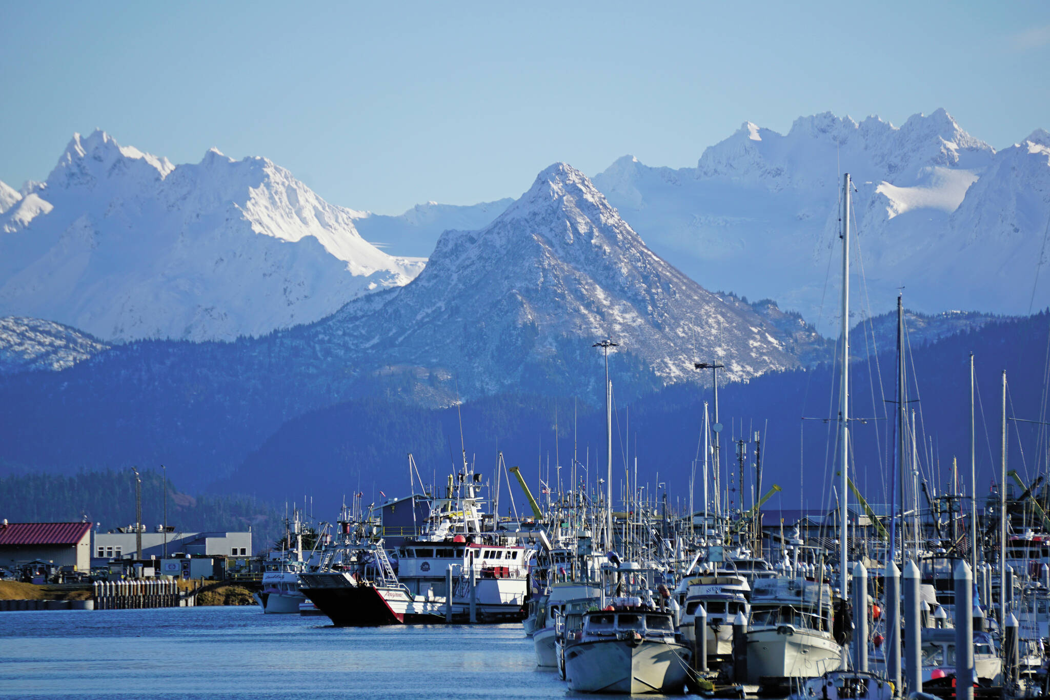The Homer Harbor, as seen on Friday, Nov. 5, 2021, in Homer, Alaska. (Photo by Michael Armstrong/Homer News)