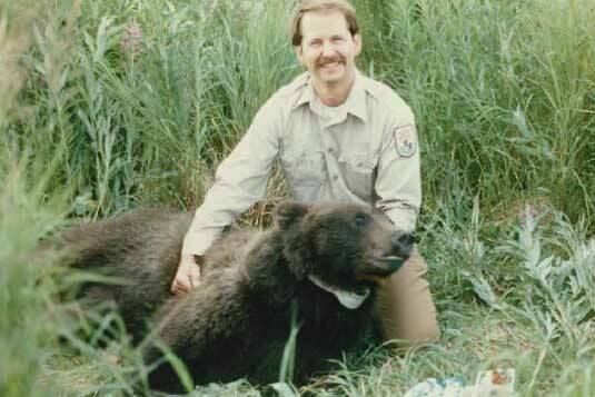 Ed Bangs in 1984  with the first female brown bear radio-collared on the Kenai. (Photo courtesy USFWS)