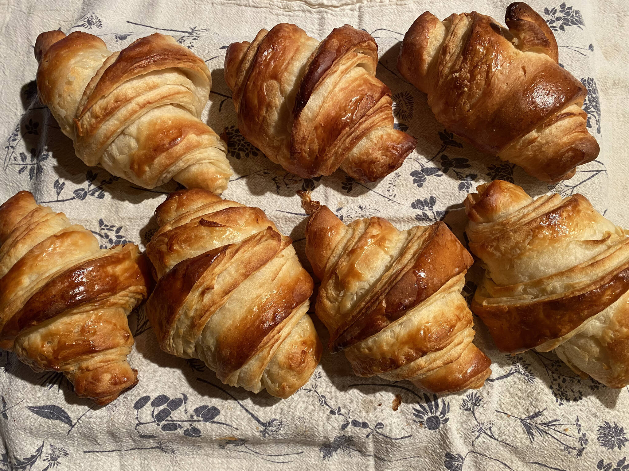 Achieving the crispy, flaky layers of golden goodness of a croissant require precision and skill. (Photo by Tresa Dale/Peninsula Clarion)
