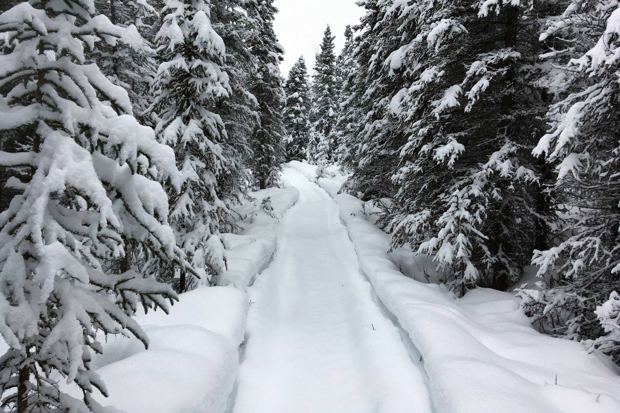 The Kenai National Wildlife Refuge, Nov. 3, 2021. (Photo by Jeff Helminiak/Peninsula Clarion)