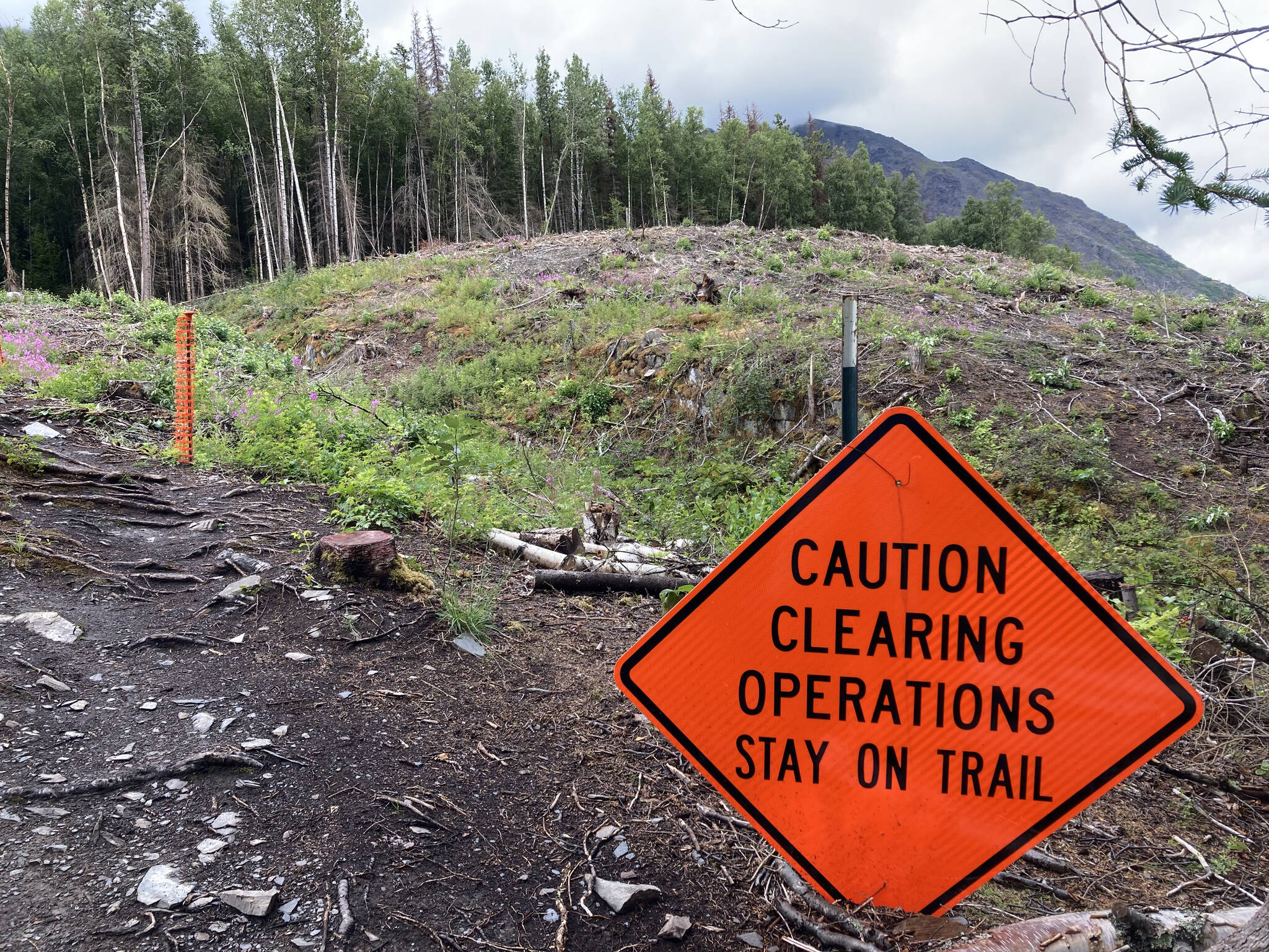 A sign urging caution stands on the Slaughter Ridge Trail in an area cleared to make way for the Cooper Landing Bypass, on Aug. 10 in Cooper Landing, Alaska. (Photo by Jeff Helminiak/Peninsula Clarion)