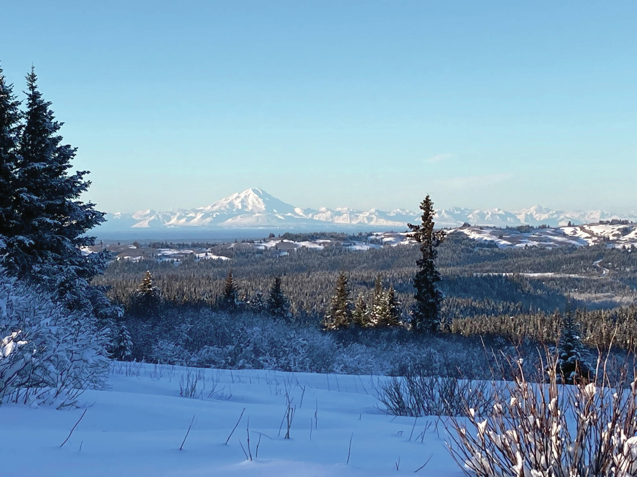 Mt. Redoubt can be seen across Cook Inlet from Diamond Ridge on the Marathon Ski Trail on Sunday, Jan. 24, 2021, near Homer, Alaska. (Photo by Michael Armstrong/Homer News)