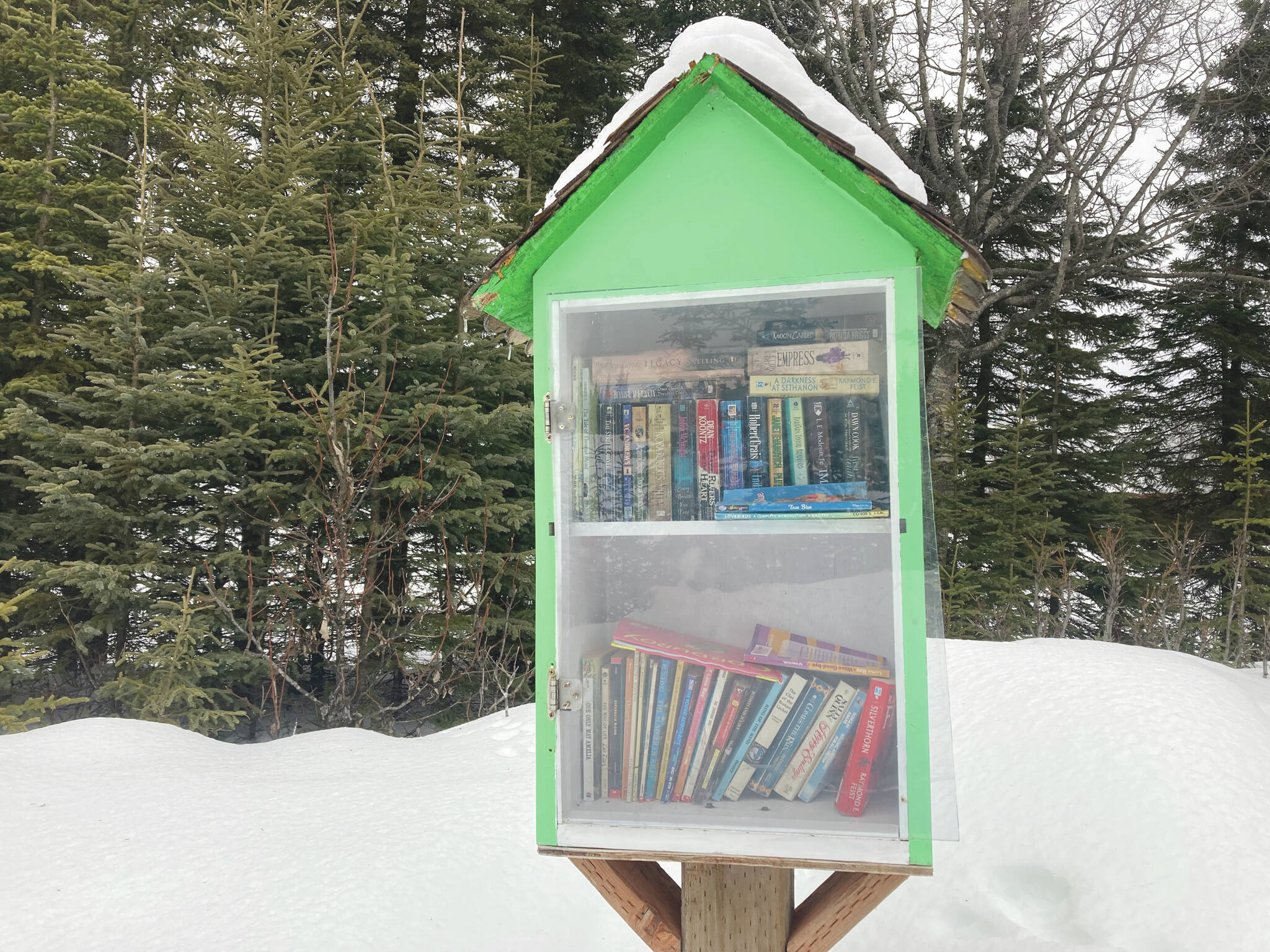 A green Little Free Library stands at the edge of Daubenspeck Family Park on Wednesday, Feb. 23, 2022 in Kenai, Alaska. (Photo by Jeff Helminiak/Peninsula Clarion)