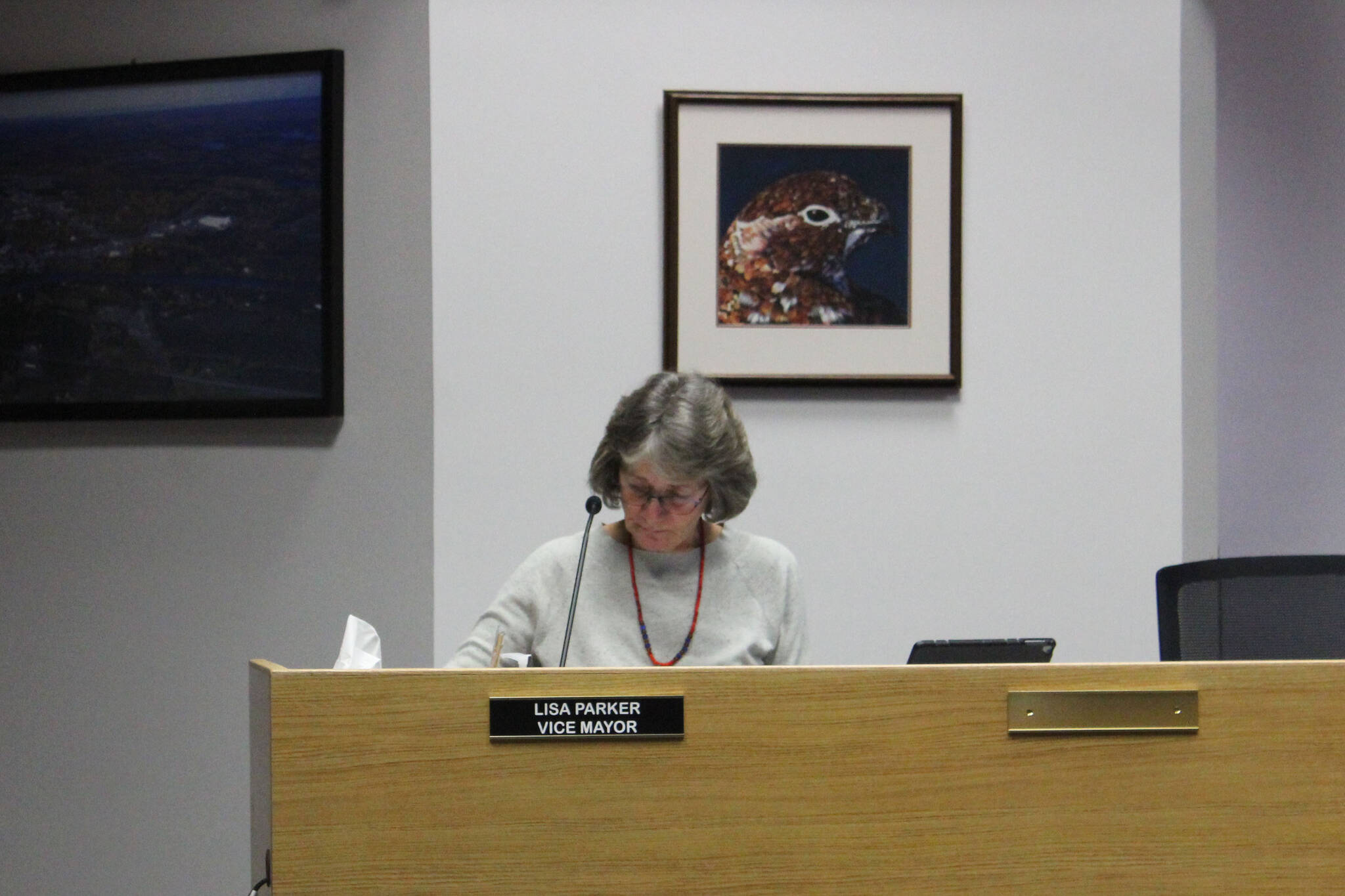 Soldotna Vice Mayor Lisa Parker speaks during a meeting of the Soldotna City Council on Wednesday, Feb. 23, 2022 in Soldotna, Alaska. (Ashlyn O’Hara/Peninsula Clarion)