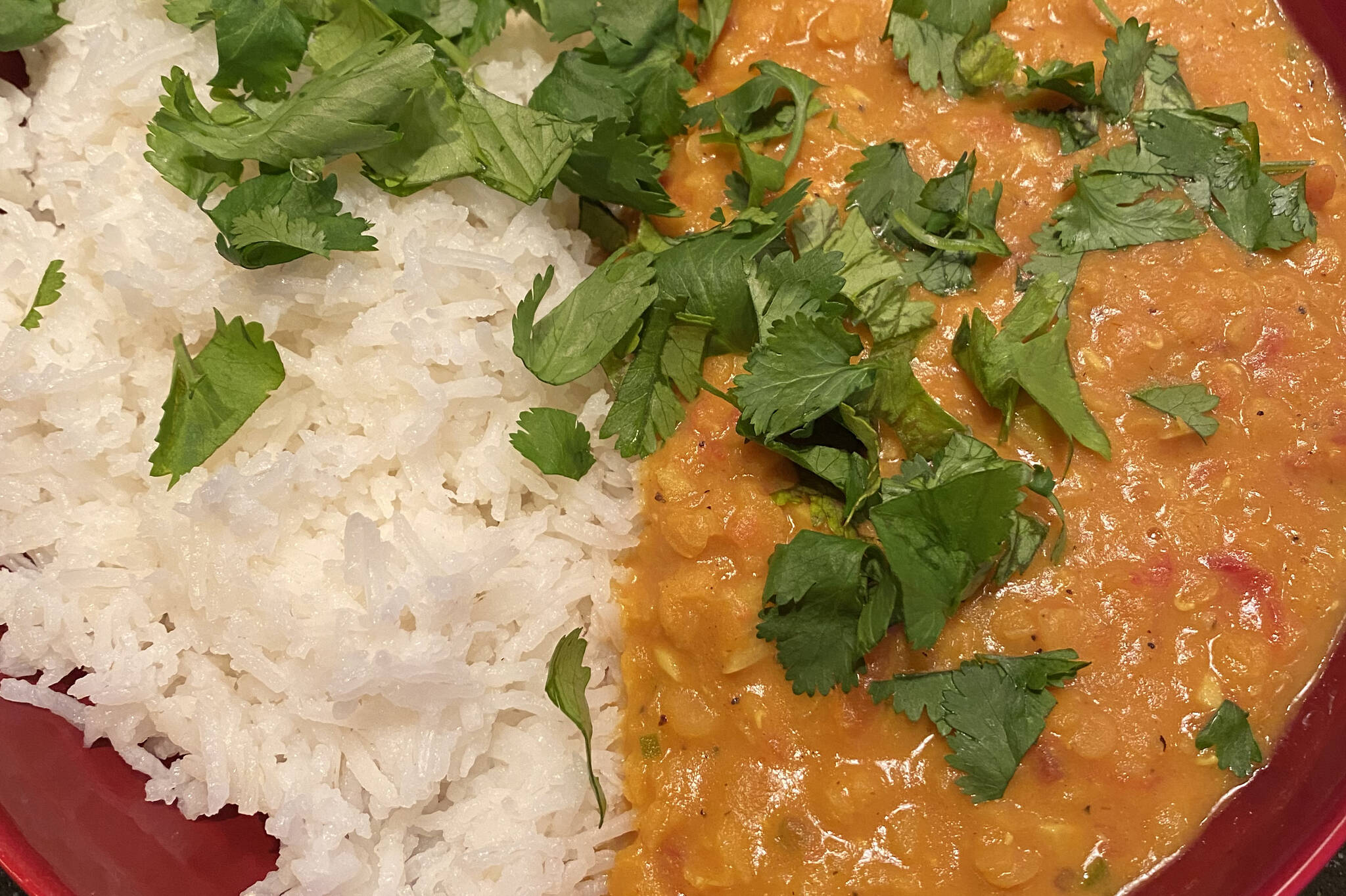 Curried lentils are served with basmati rice and garnished with cilantro. (Photo by Tressa Dale/Peninsula Clarion)
