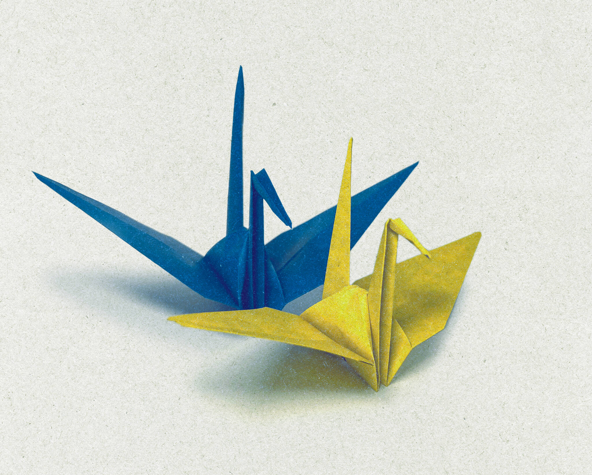 Photo provided by the Kenai Art Center
Origami cranes are folded to symbolize peace in Ukraine.