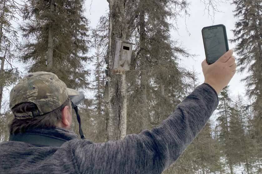 The use of birding apps and iPhones to play songs has become a popular way to locate target species. (Photo by L. Eskelin/USFWS)