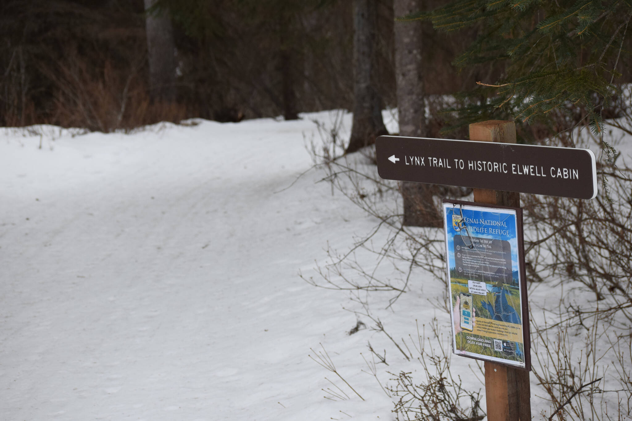 The Kenai National Wildlife Refuge trails in Soldotna, Alaska, are still covered with snow on Wednesday, March 23, 2022. (Camille Botello/Peninsula Clarion)