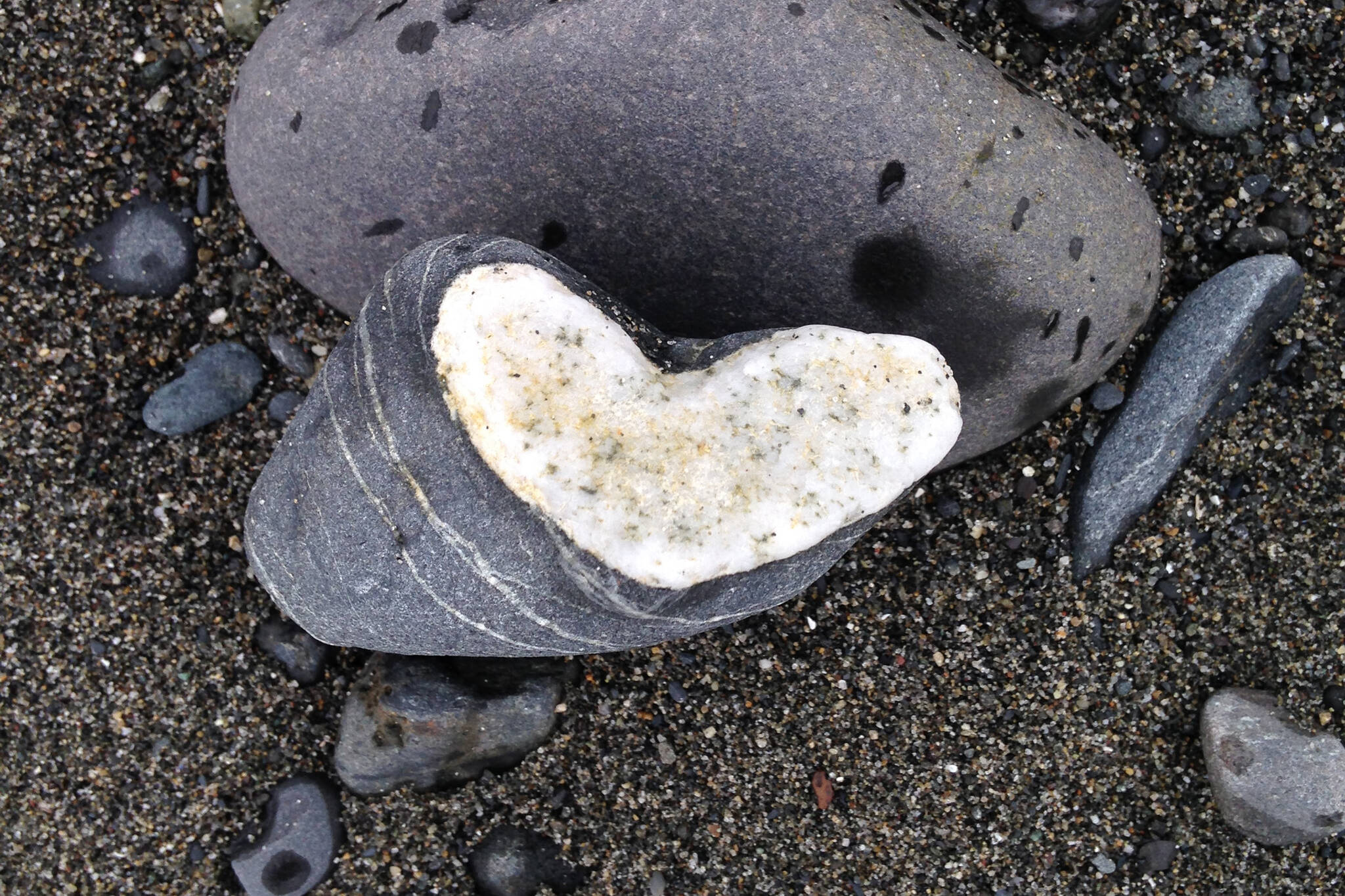 Some heart shaped rocks appear as bands of quartz. (Photo by Michael Armstrong/Homer News)