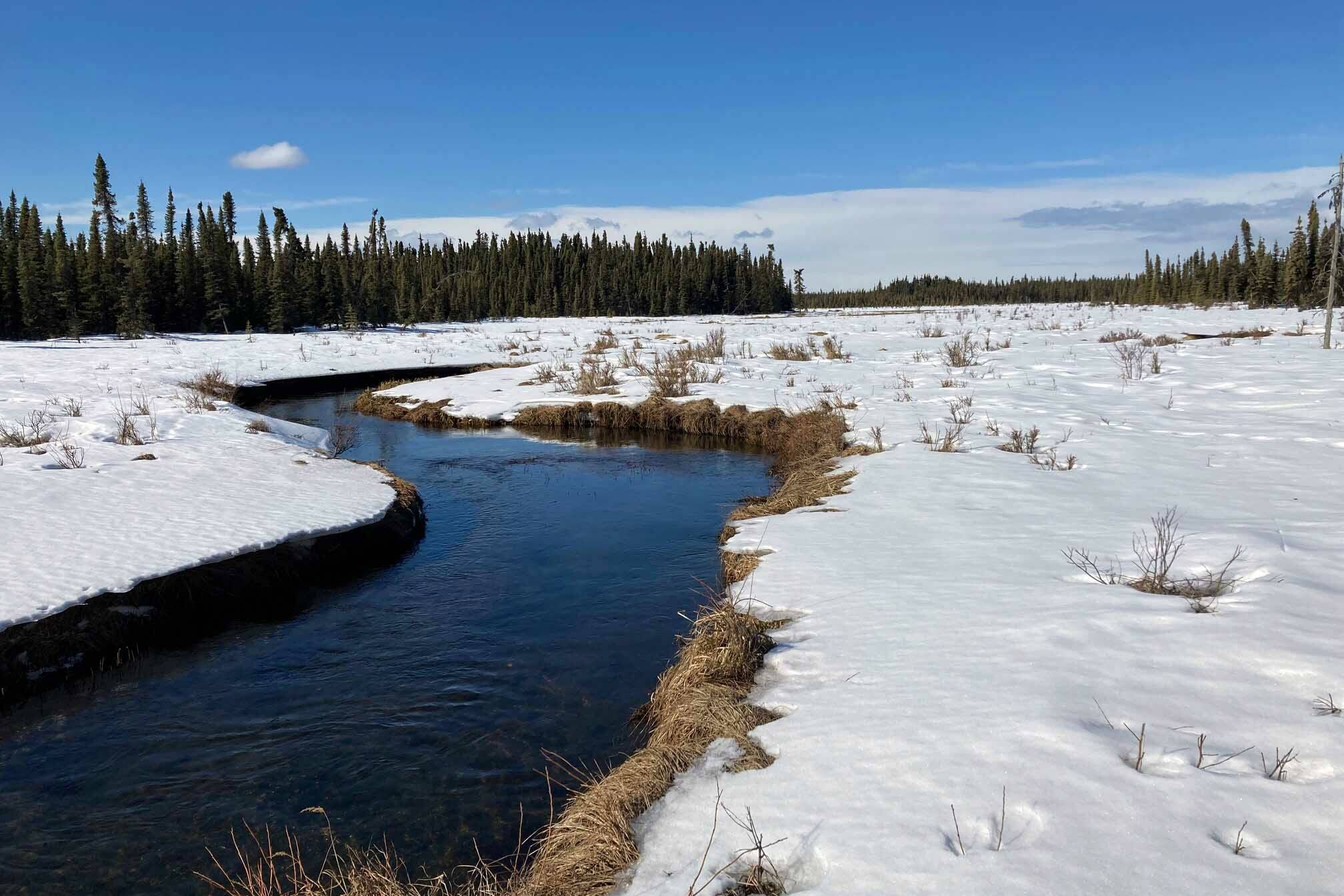 The west fork of the Moose River in the Kenai National Wildlife Refuge, March 23, 2022. (Photo by Jeff Helminiak/Peninsula Clarion)