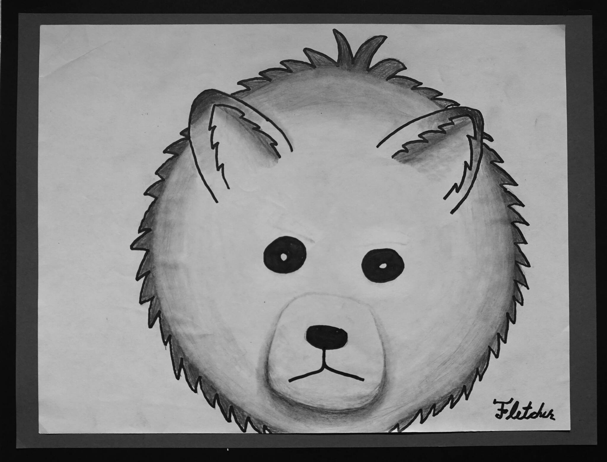 Grade 6 McNeil Canyon Elementary student Fletcher Darr’s pencil and ink drawing. (Photo by Michael Armstrong/Homer News)