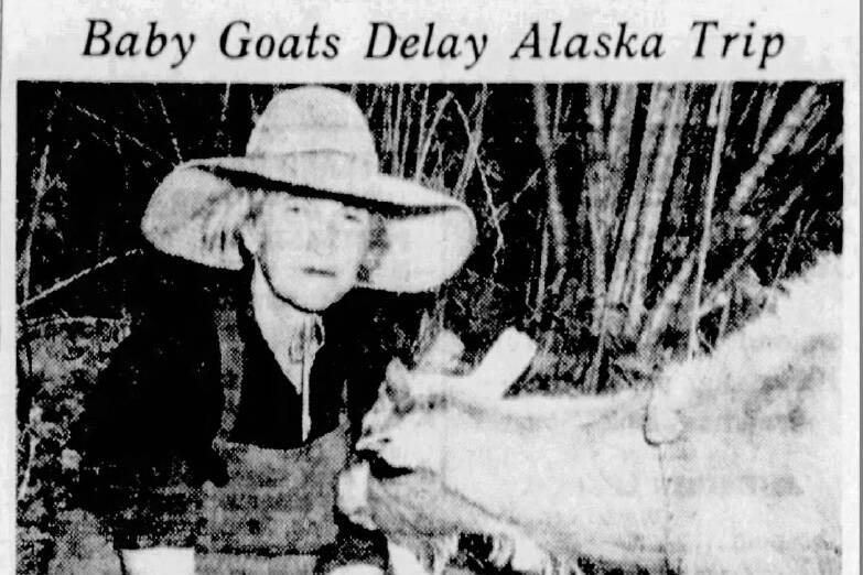The Associated Press caught up to Miriam Mathers in 1943 and took this photo when she was trying to move overland to Alaska with her goats and other animals.
