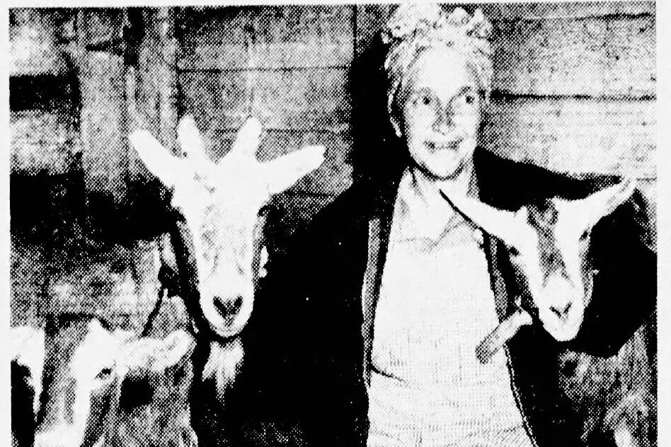 On Oct. 3, 1945, the Spokane Chronicle published this A.P. photo of Miriam Mathers and her goats as she prepared to board a Seattle steamship bound for Seward.