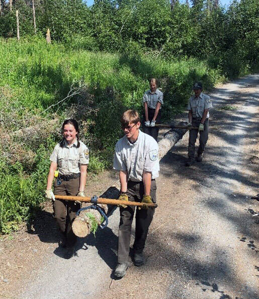 YCC Enrollees harvest beetle-killed spruce for a facility enhancement project. (Photo by Nick Longobardi/FWS)