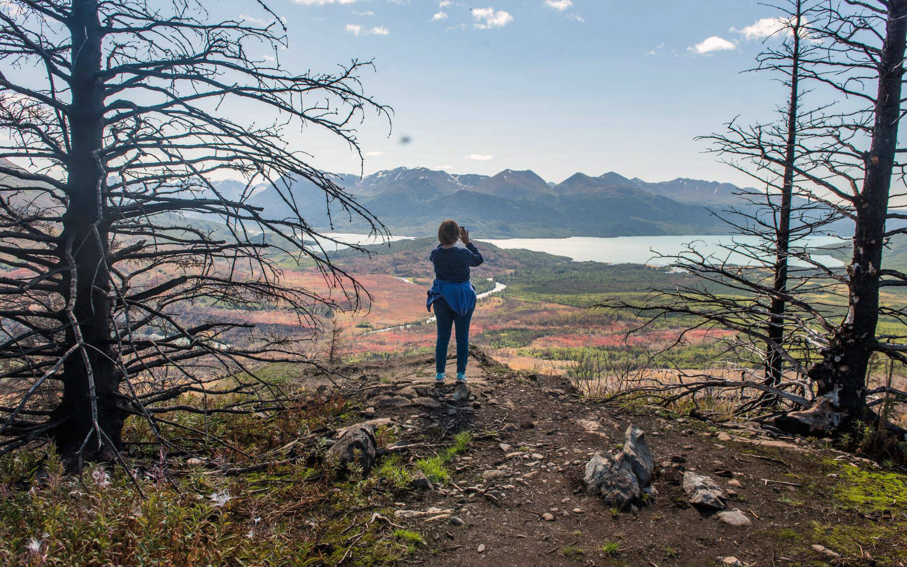 A hiker takes in the view of Kenai National Wildlife Refuge. (Photo by Joseph Suarez/USFWS)