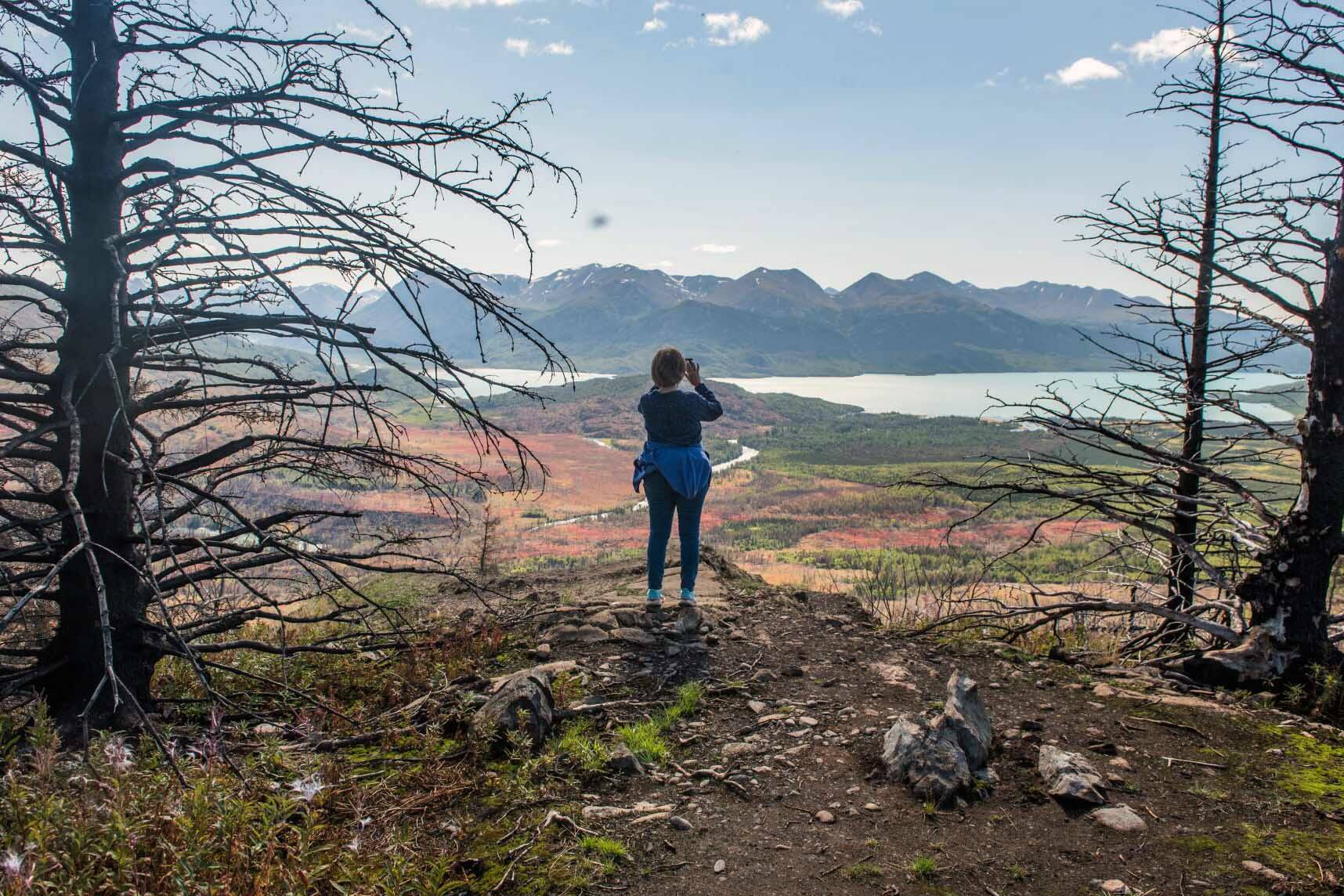 A hiker takes in the view of Kenai National Wildlife Refuge. (Photo by Joseph Suarez/USFWS)