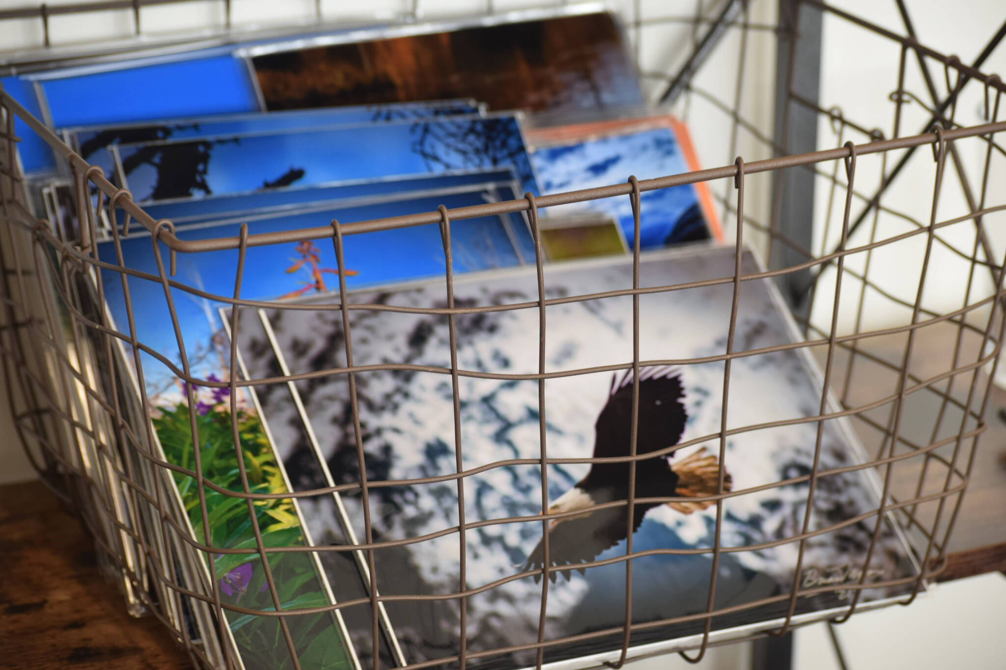 My Alaskan Gifts is seen at the Kenai Municipal Airport on Wednesday, May 11, 2022. (Camille Botello/Peninsula Clarion)